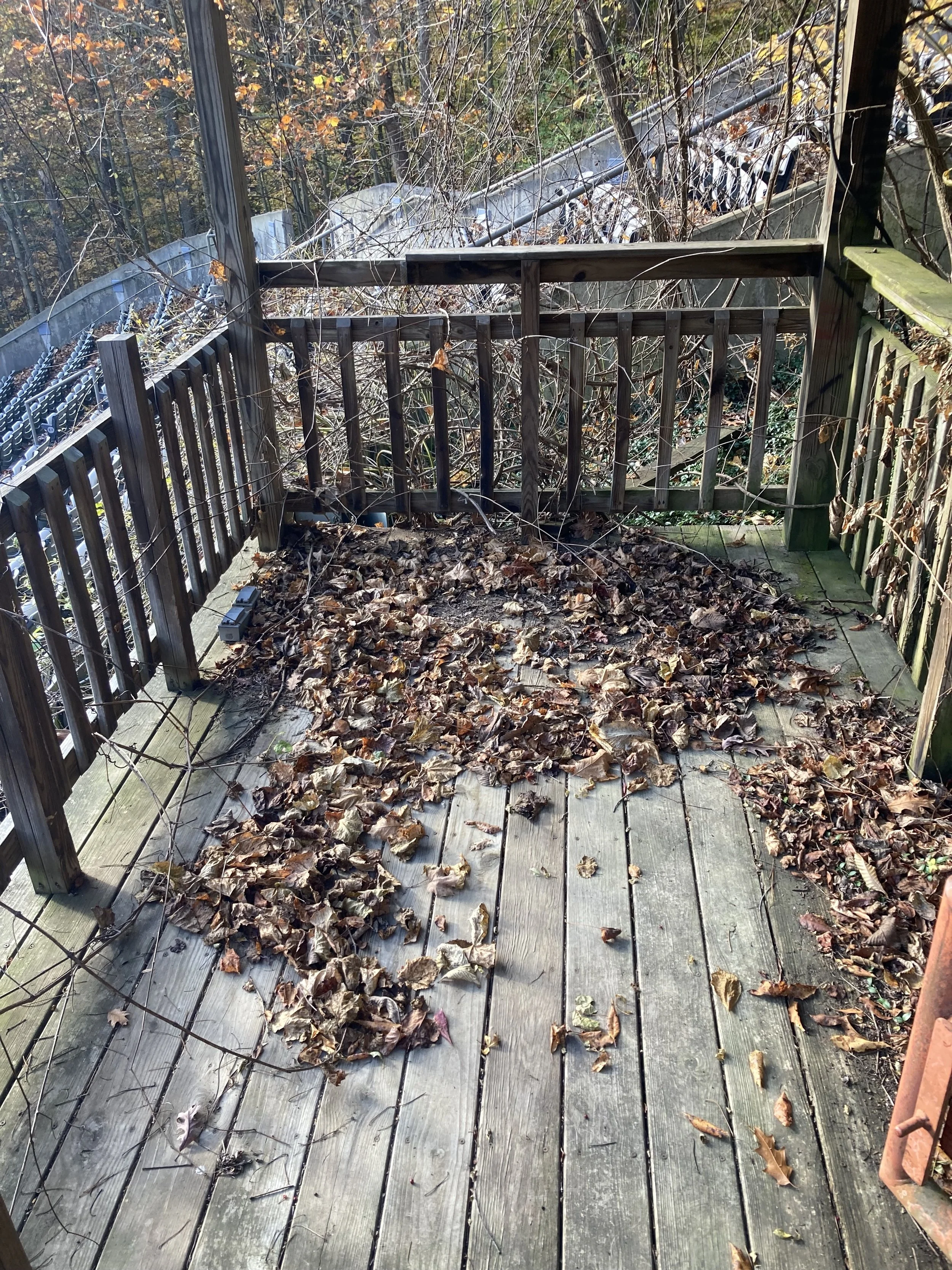 IMG_1966.jpeg