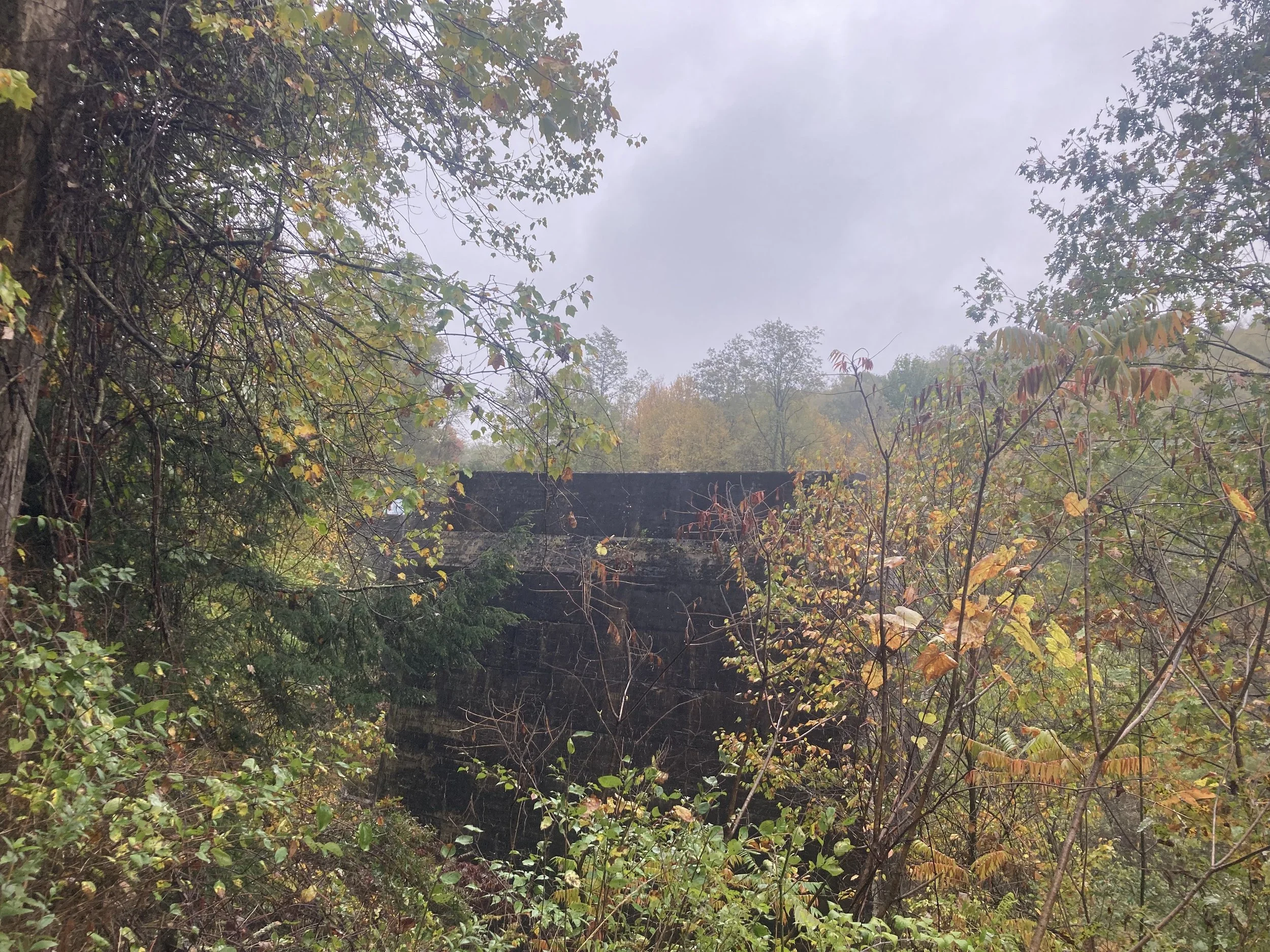 IMG_1527.jpeg