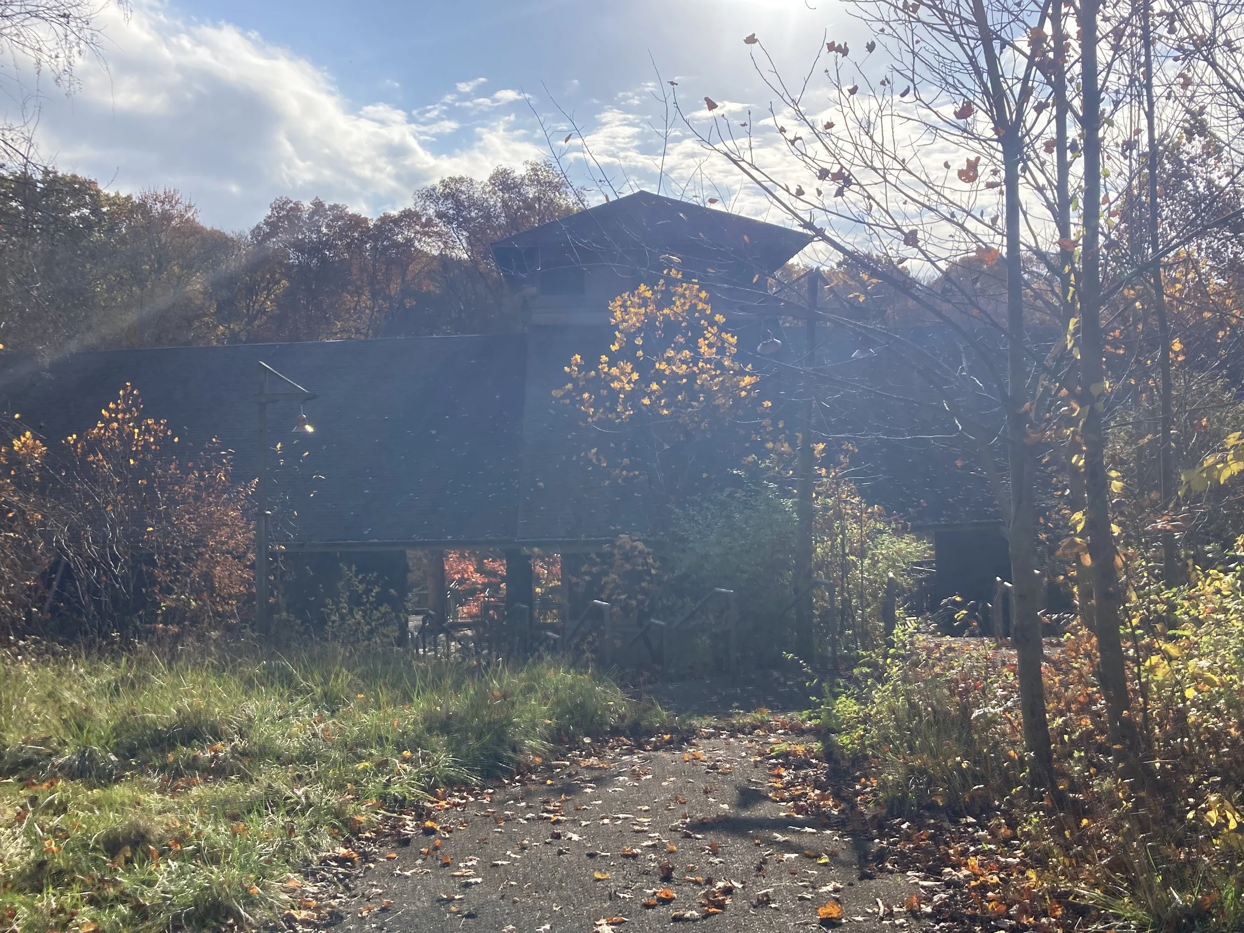 IMG_2010.jpeg
