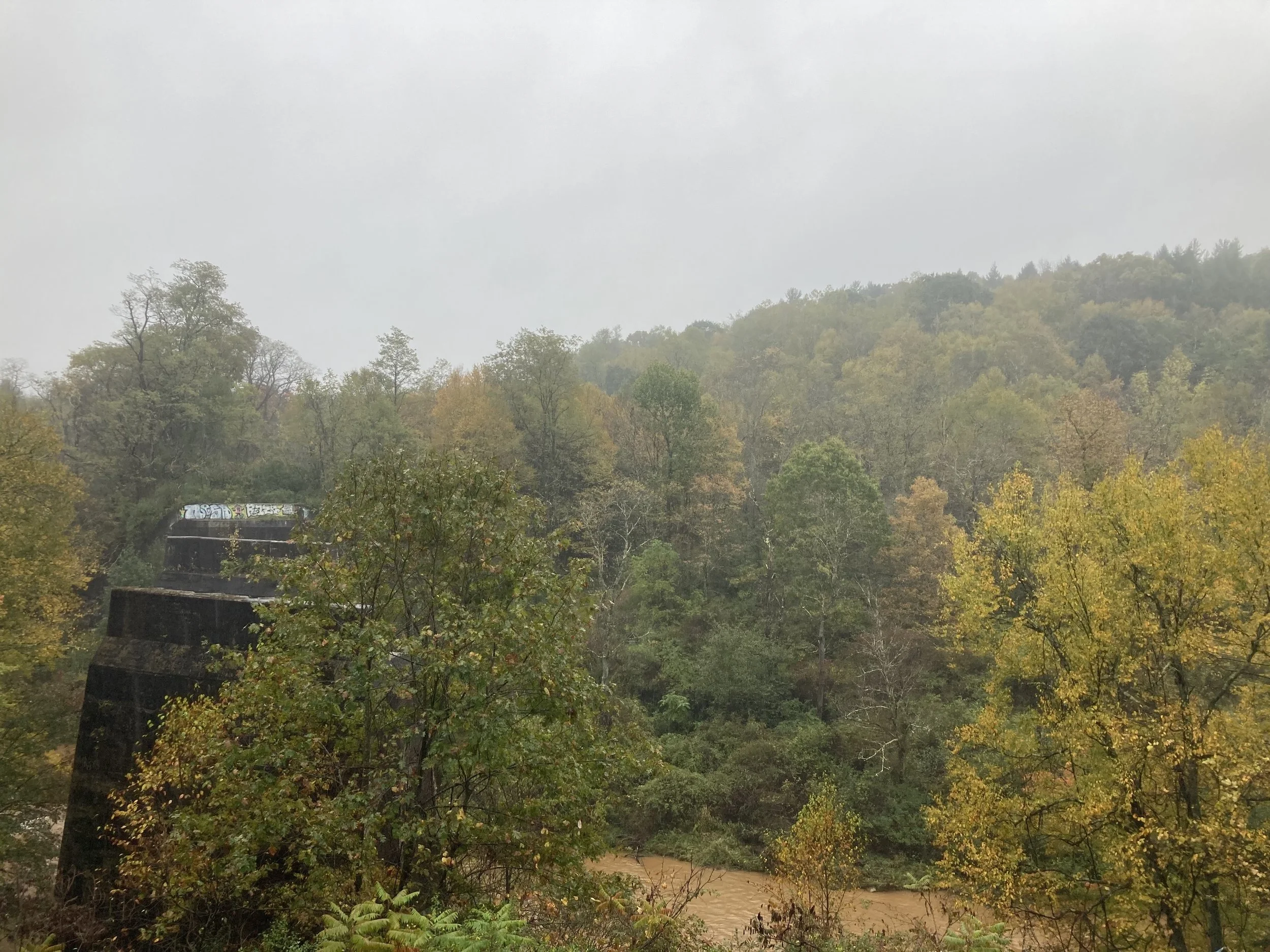 IMG_1501.jpeg