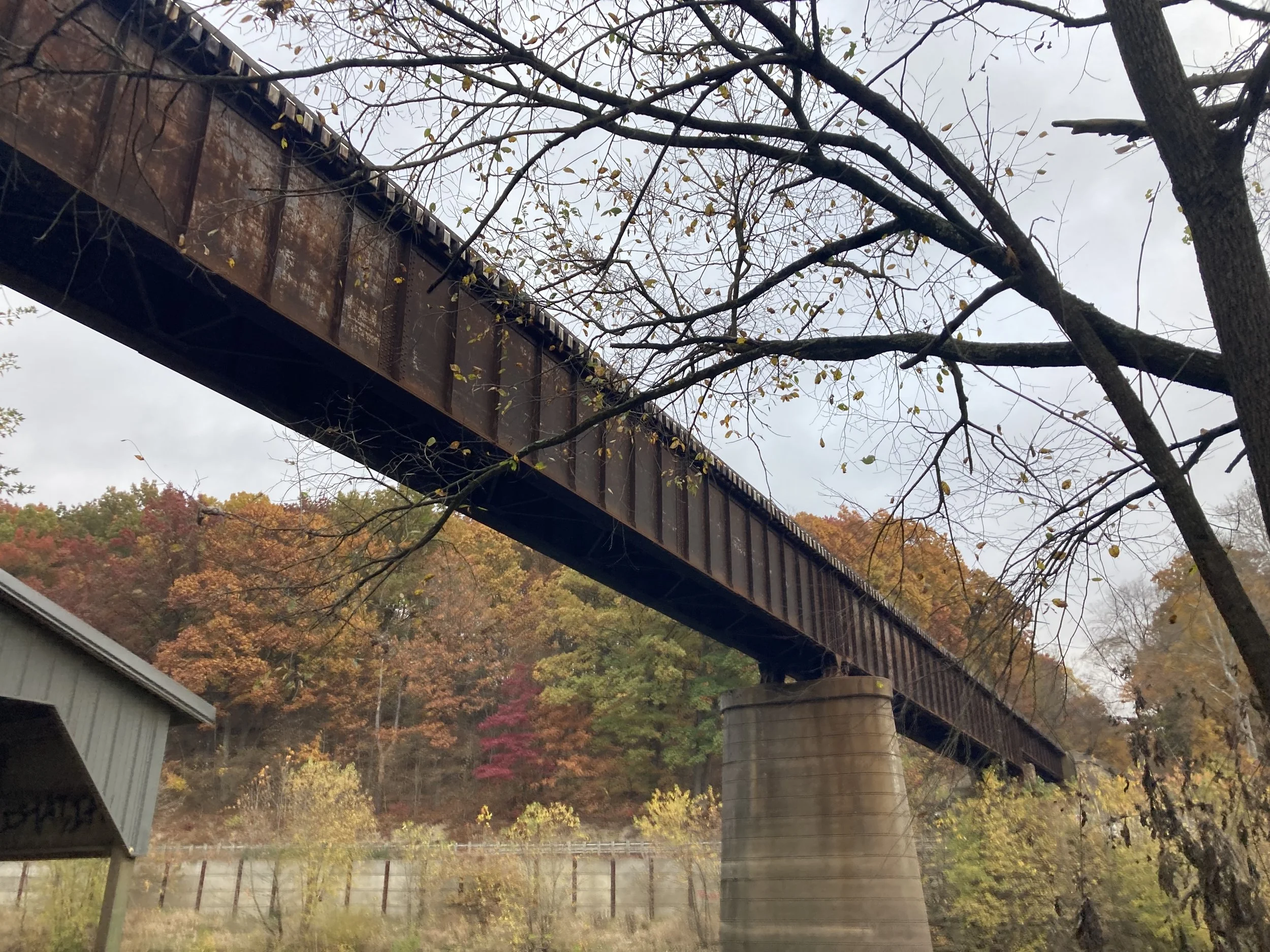 IMG_2053.jpeg