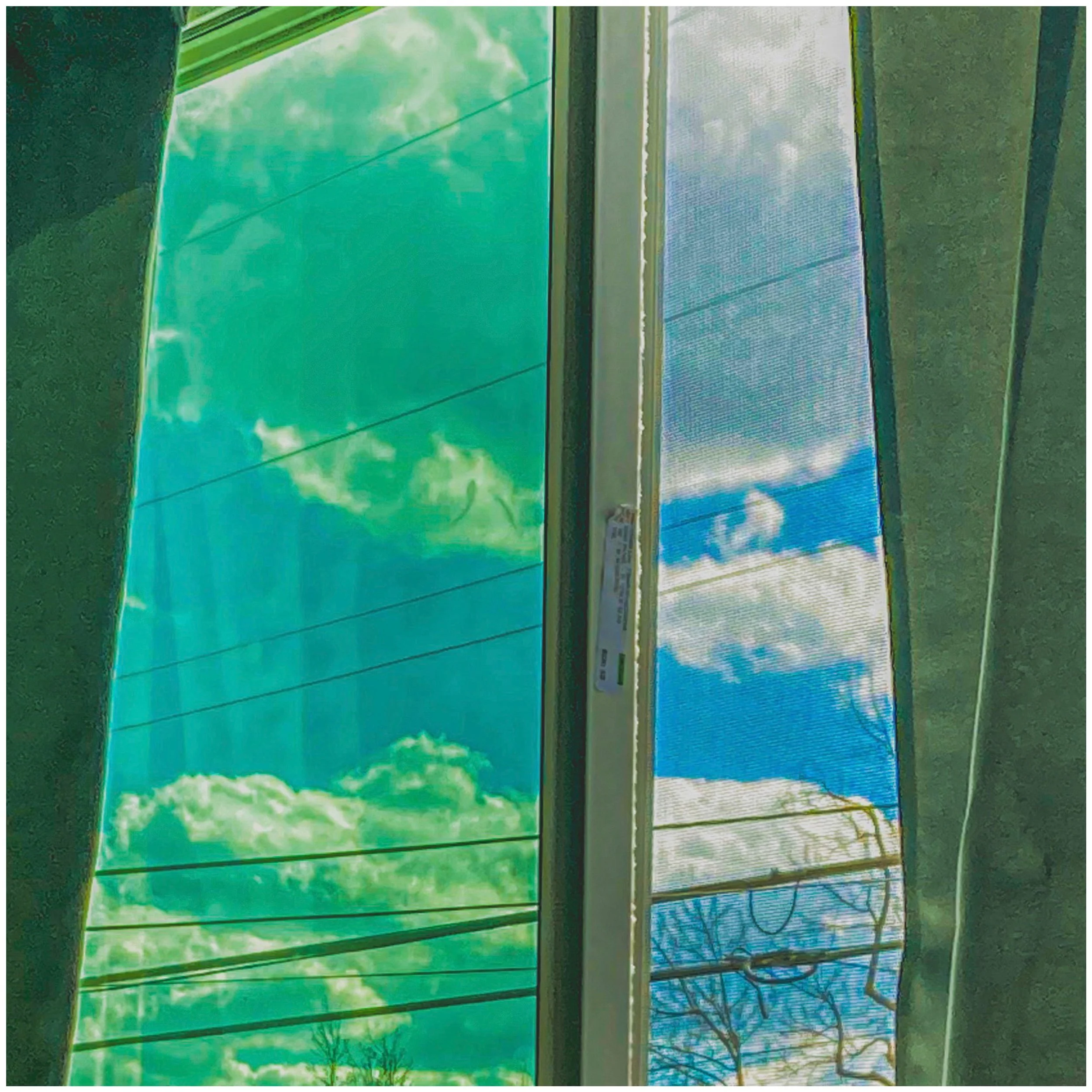 What Have I Done? (2026)