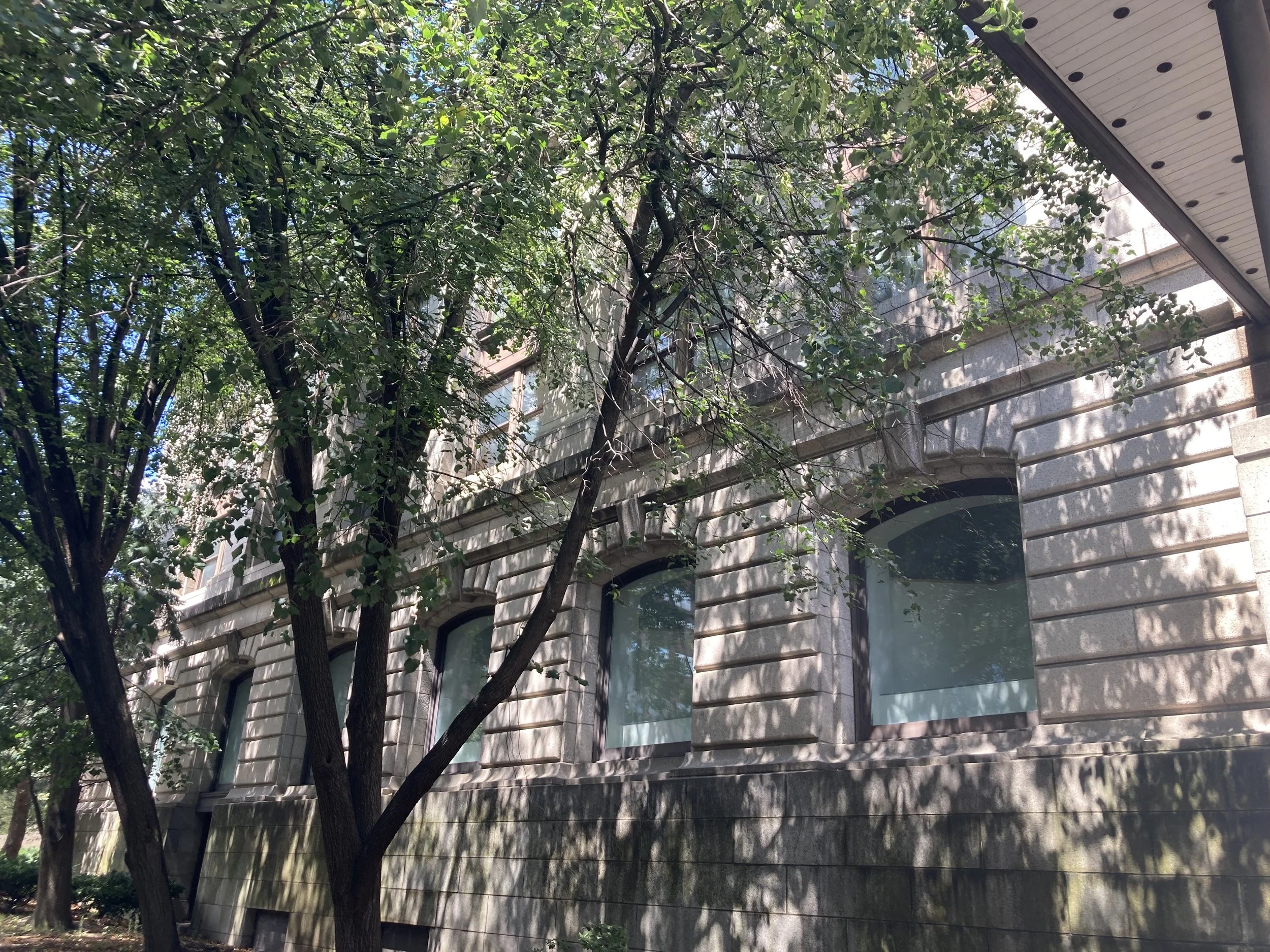 IMG_7503.jpeg