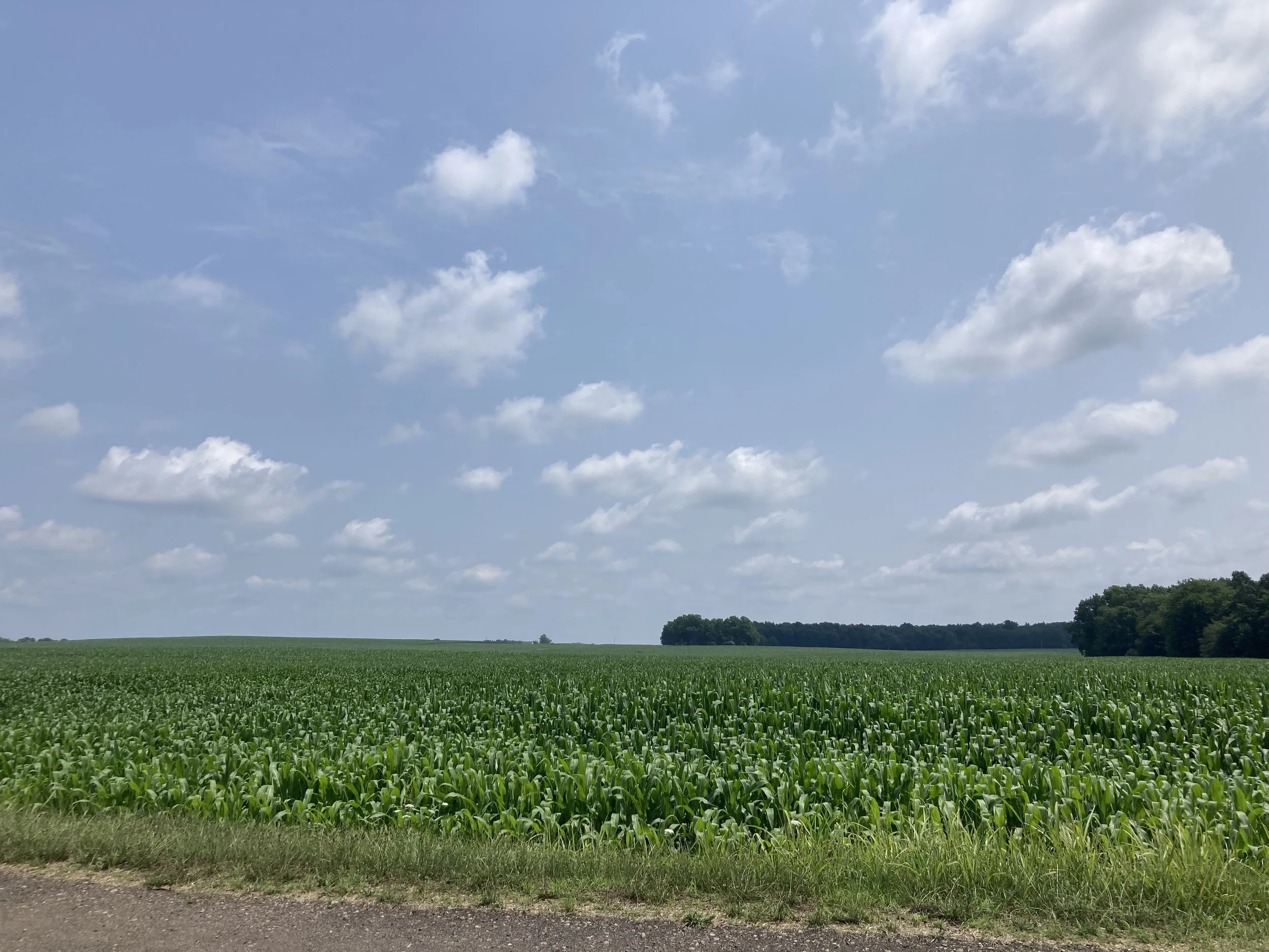 IMG_6219.jpeg