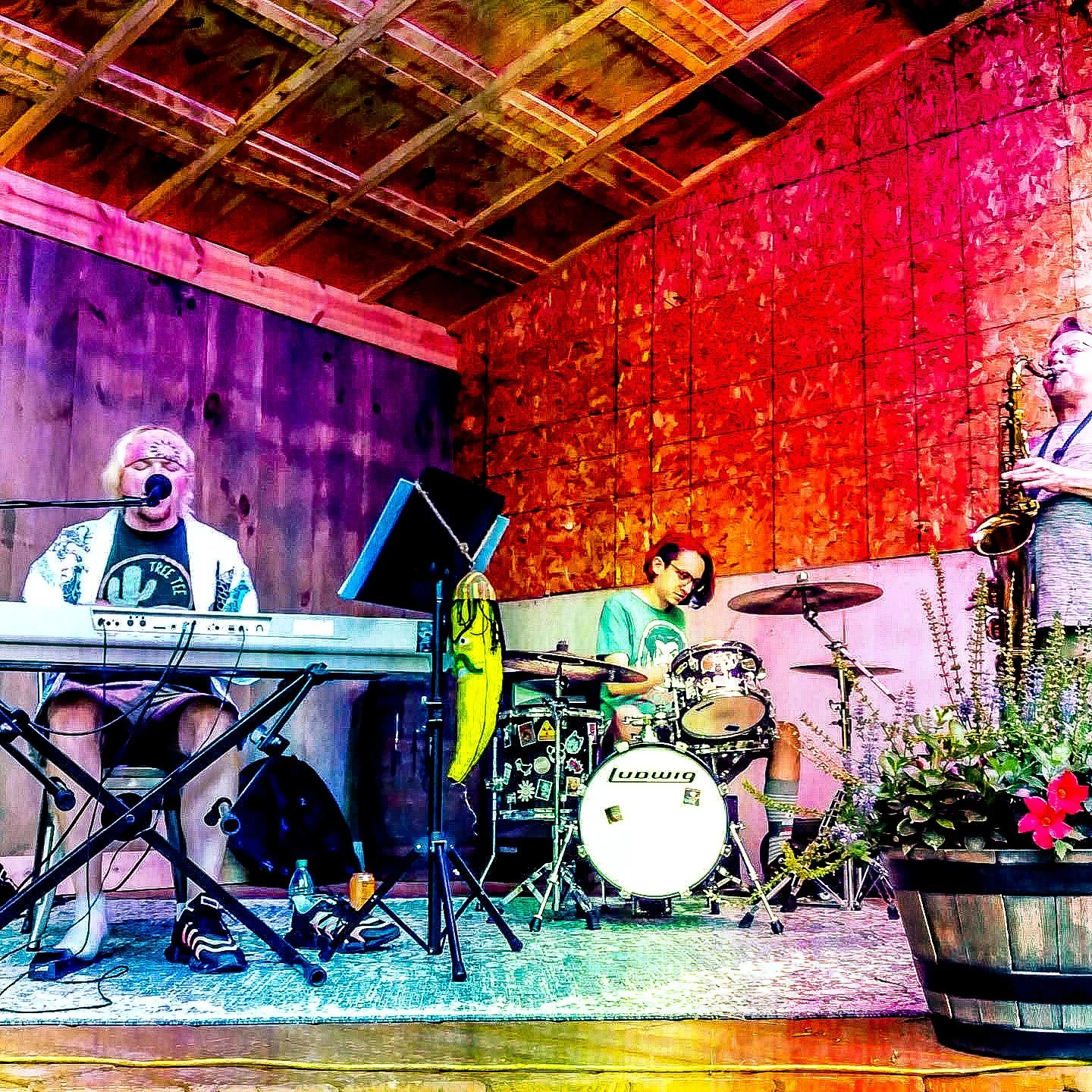 Three musicians performing on a stage with a wooden wall backdrop. One is playing a keyboard and singing into a microphone, another is playing drums, and the third is playing the saxophone. There are music equipment and a large flower pot with pink f