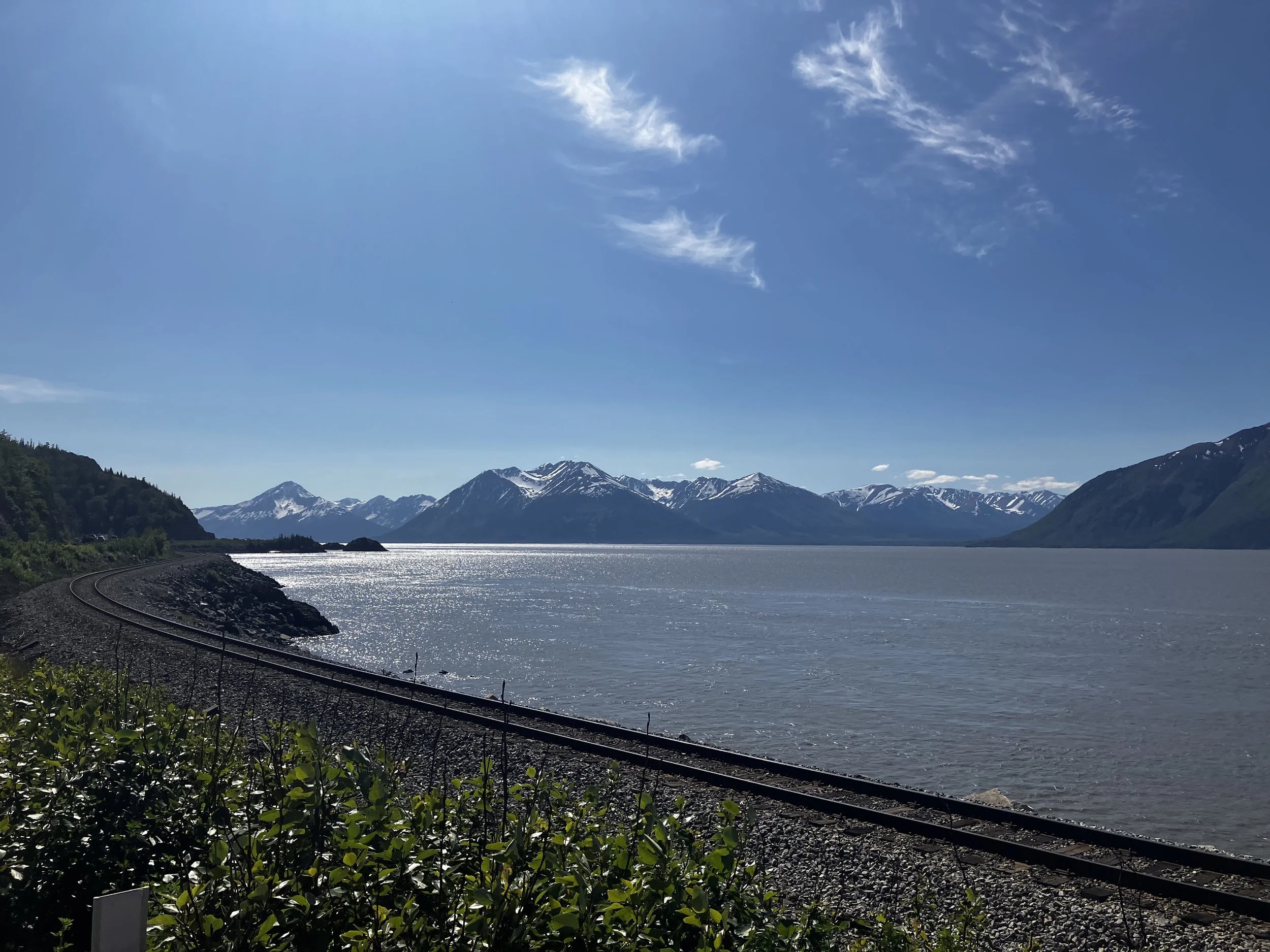 IMG_7834.jpeg