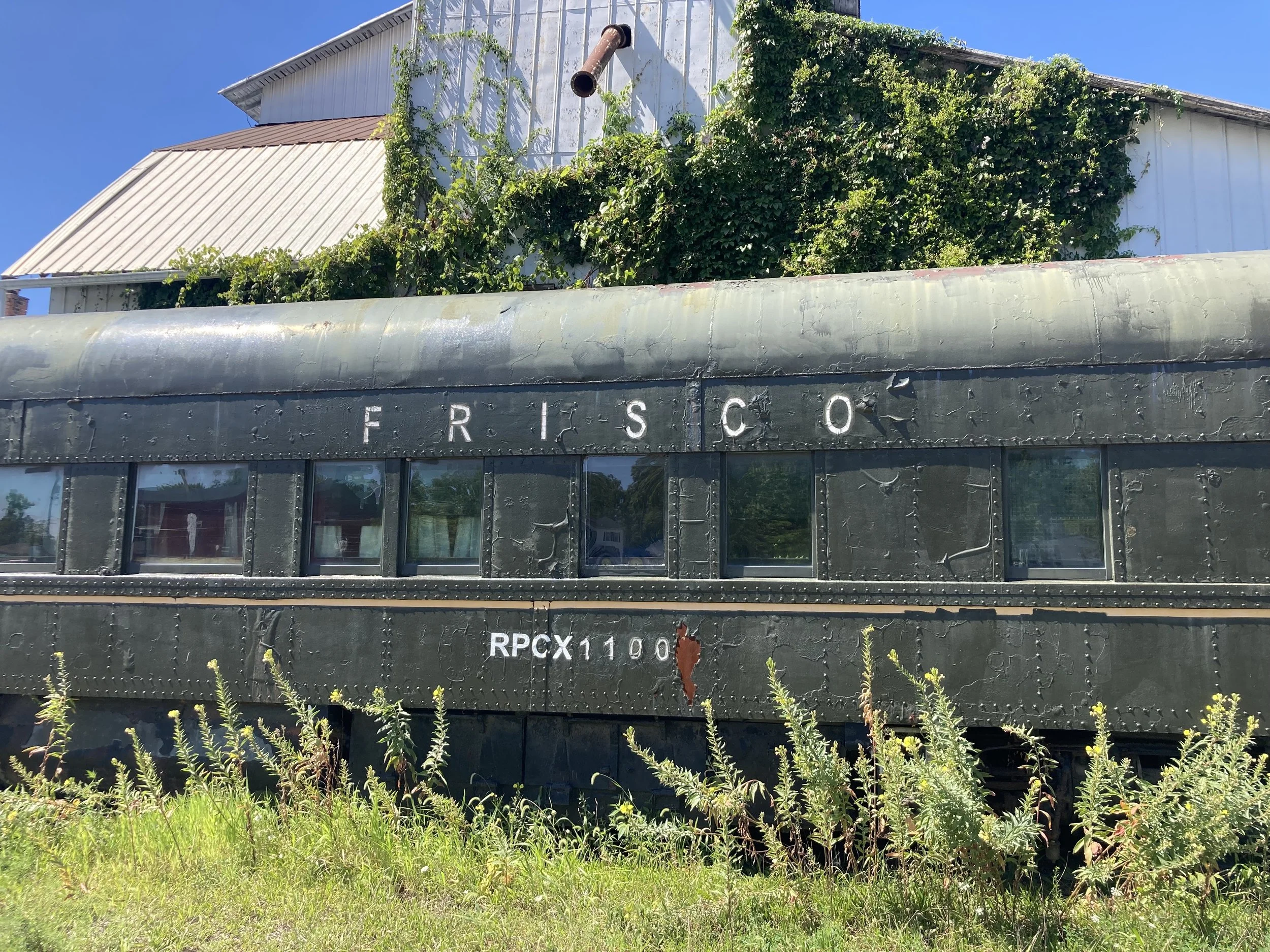 IMG_8676.jpeg