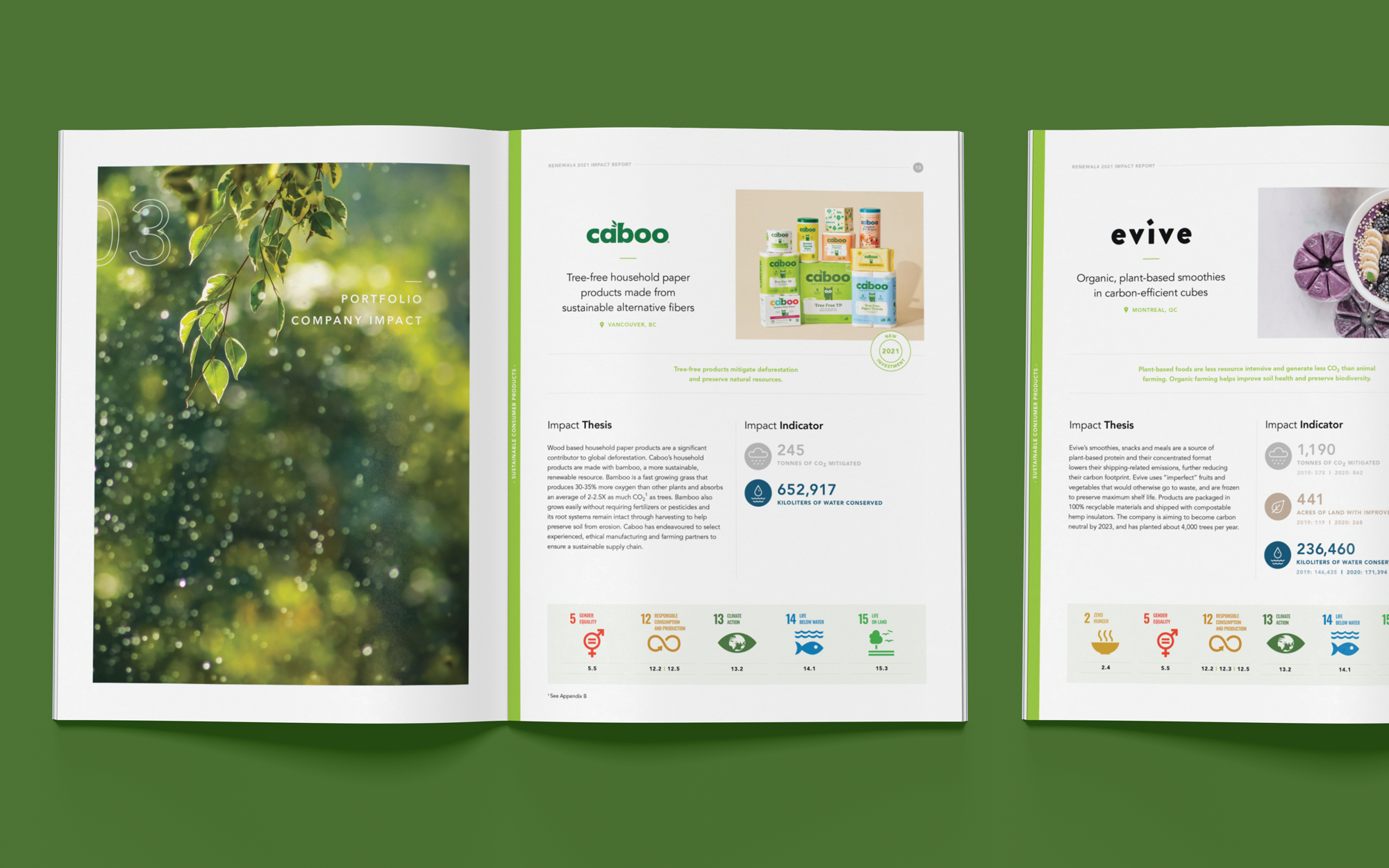 Cheryl Loh Freelance Graphic Designer in Vancouver | Impact Report Design for Renewal Funds