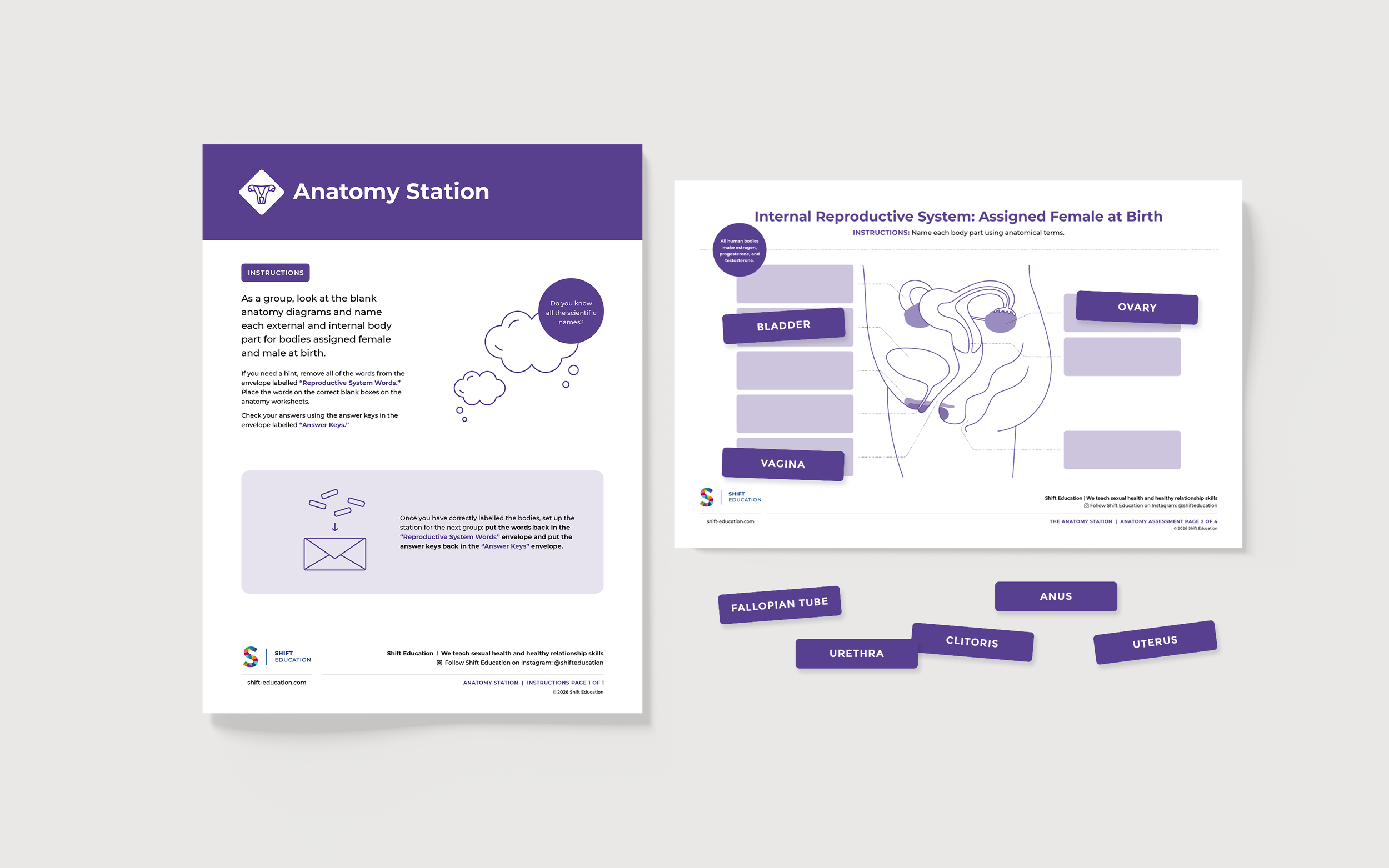 Document design and illustration for Shift Education | Cheryl Loh | Freelance graphic designer in Vancouver