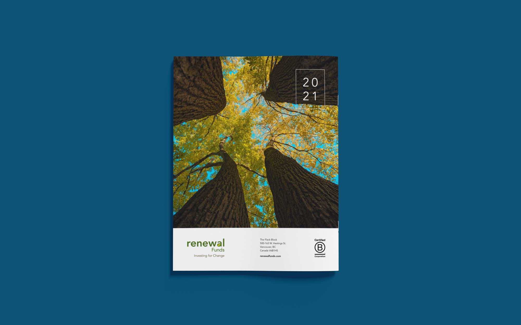 Cheryl Loh Freelance Graphic Designer in Vancouver | Impact Report Design for Renewal Funds