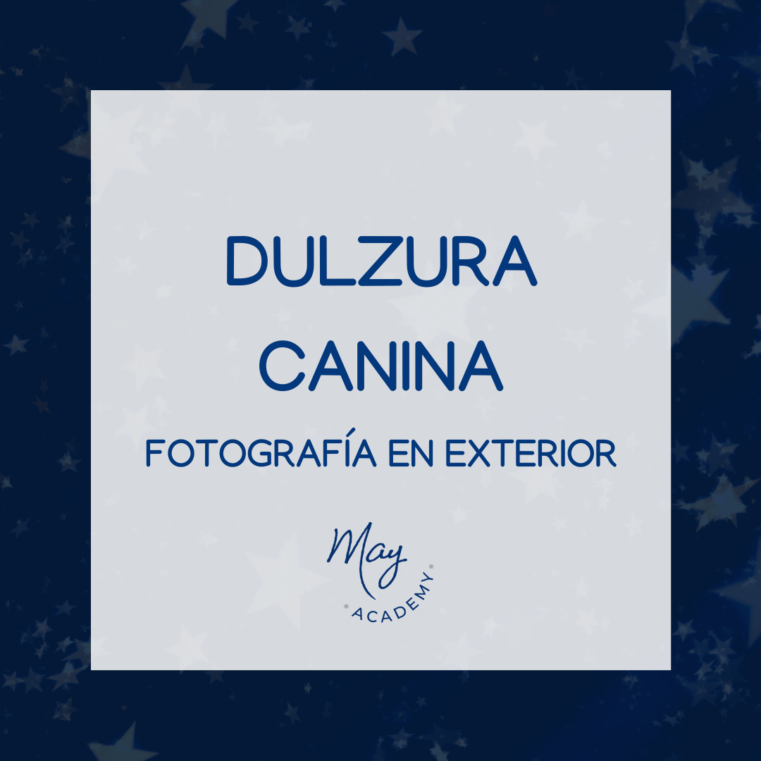 DULZURA CANINA  (copia)