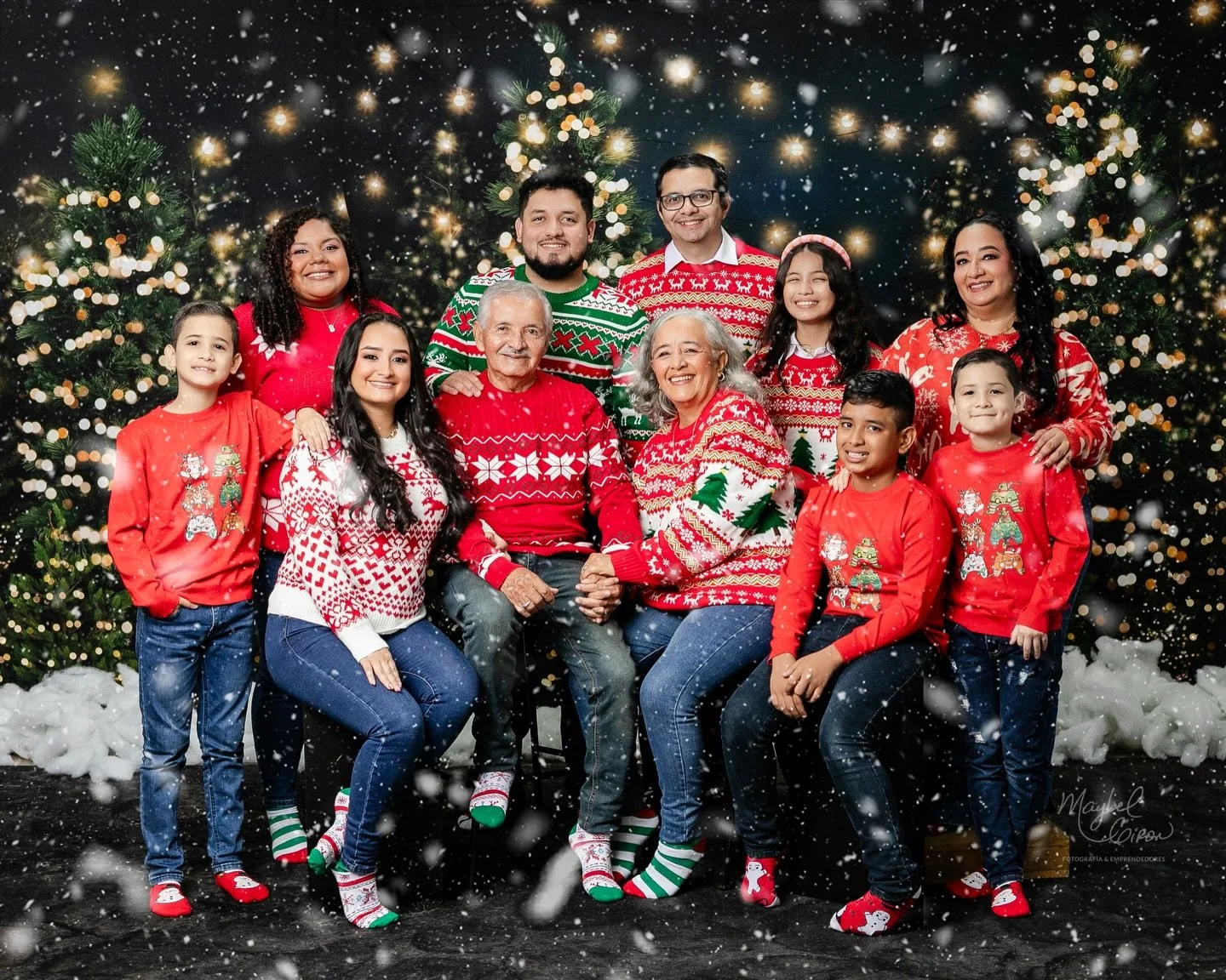 Yo so&ntilde;aba. Lo admito. So&ntilde;aba hace 5 a&ntilde;os con tener un estudio que me dejara recibir a grupos grandes en navidad. Es mi &eacute;poca favorita de todo el a&ntilde;o y debo decir con mucha honestidad que pens&eacute; que ese sue&nti