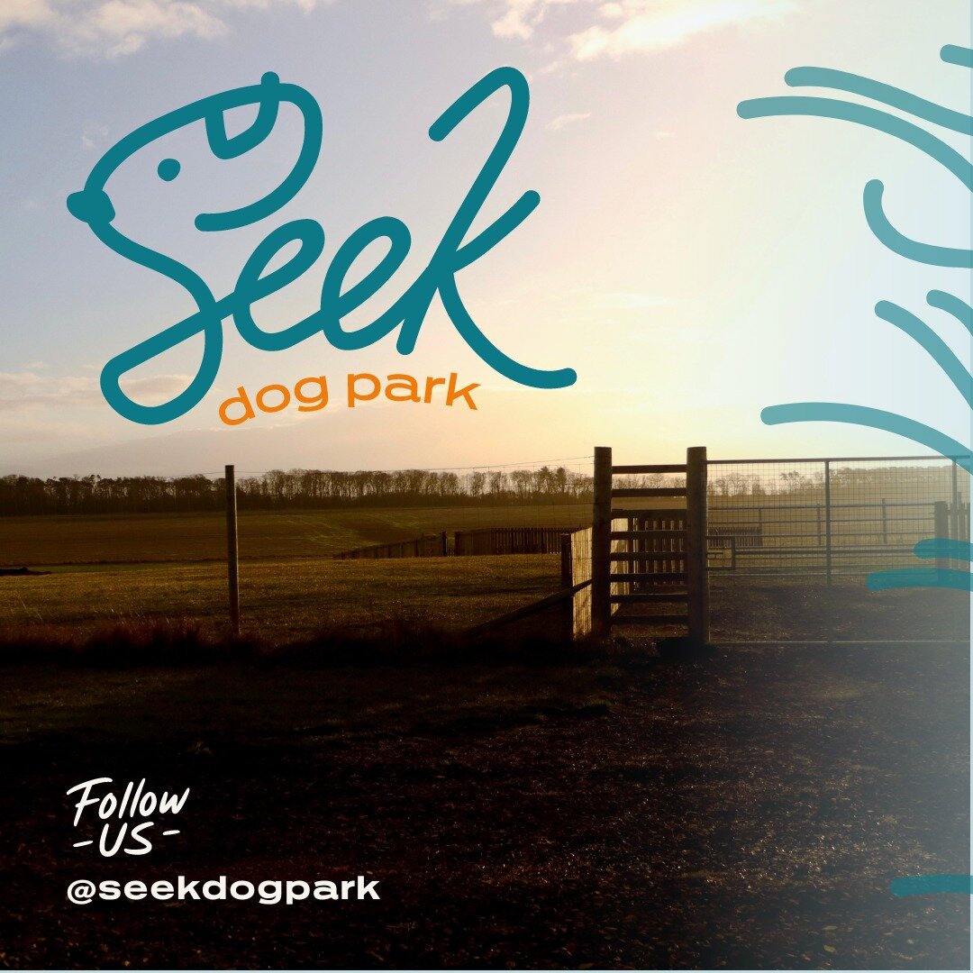 After launching our Seek Dog Park branding last week, some people have been asking where it is located.
The answer...across the road from Drift stretching nearly 2 acres of land.  It's nestled in to our newly planted orchard giving access to views to