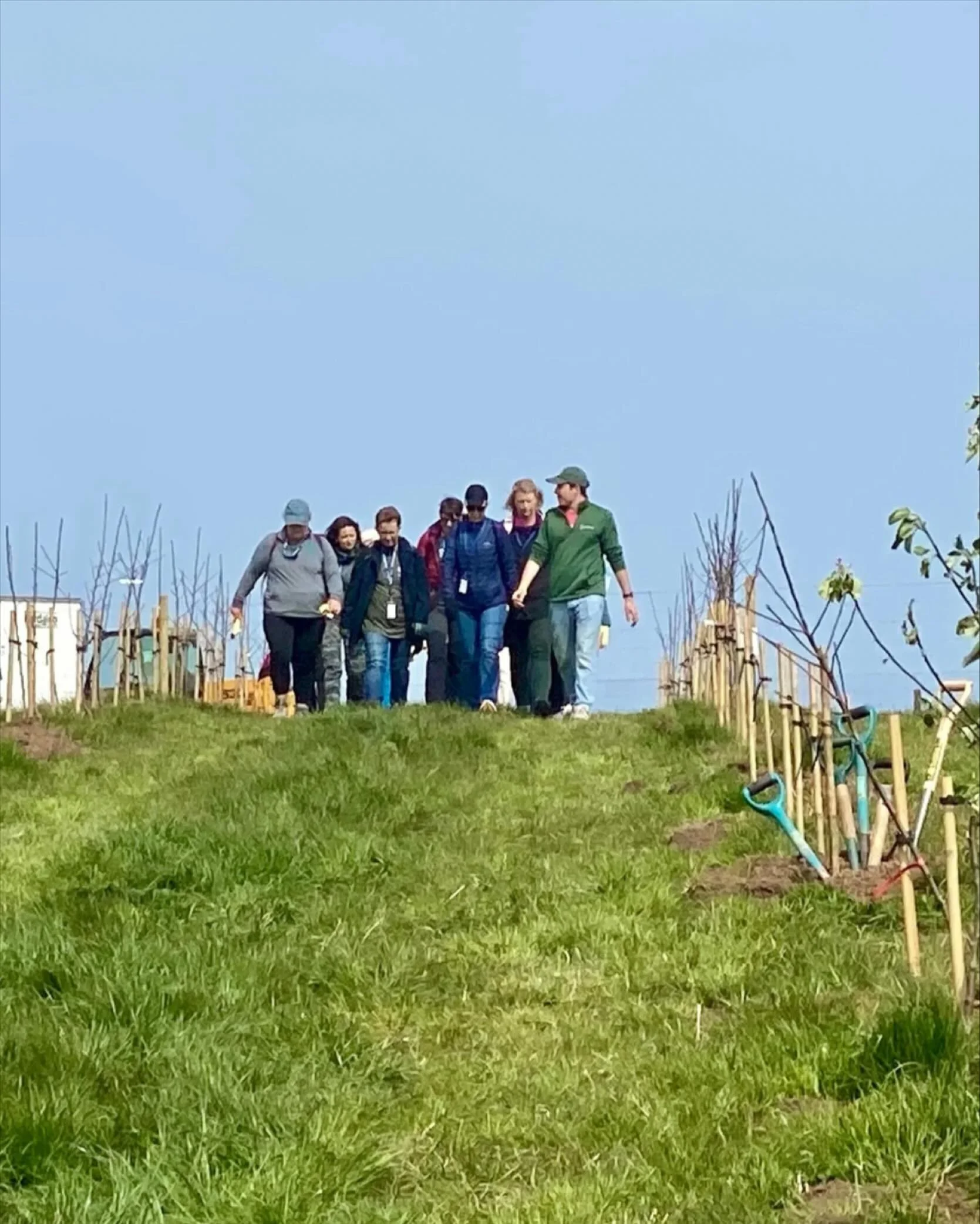 Did you know? 

We have our very own orchard right here on the farm at Drift!

From crisp apples to juicy pears and seasonal fruits, our orchard plays a big part in what we serve. Whether it&rsquo;s fresh fruit in your breakfast or garnishes on your 