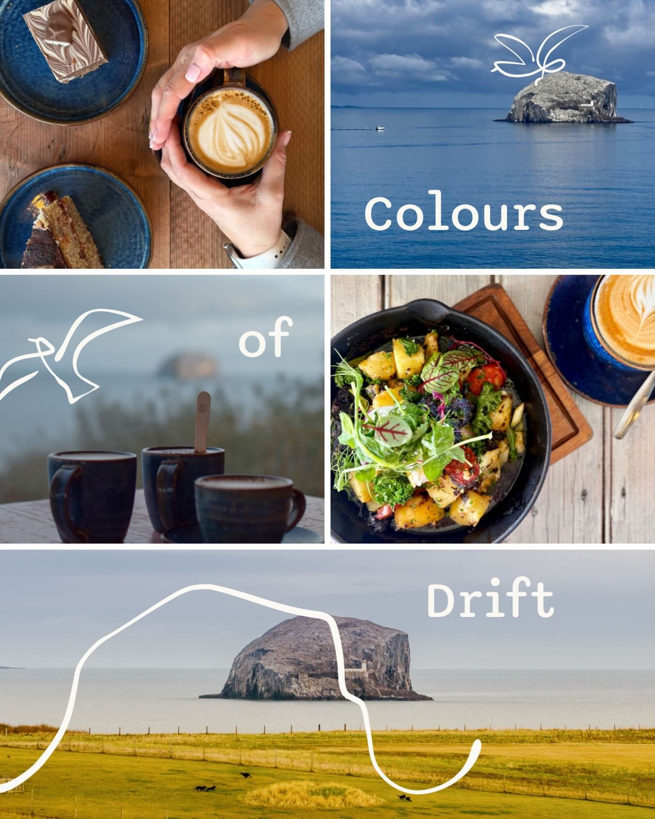 Colours of Drift 🌊

Featuring cool blue hues from the sea, vibrant colours from our fresh, seasonal food and a touch of warmth from the coffee and bakes.

#LifeinColour #Scotland #ScottishEatery