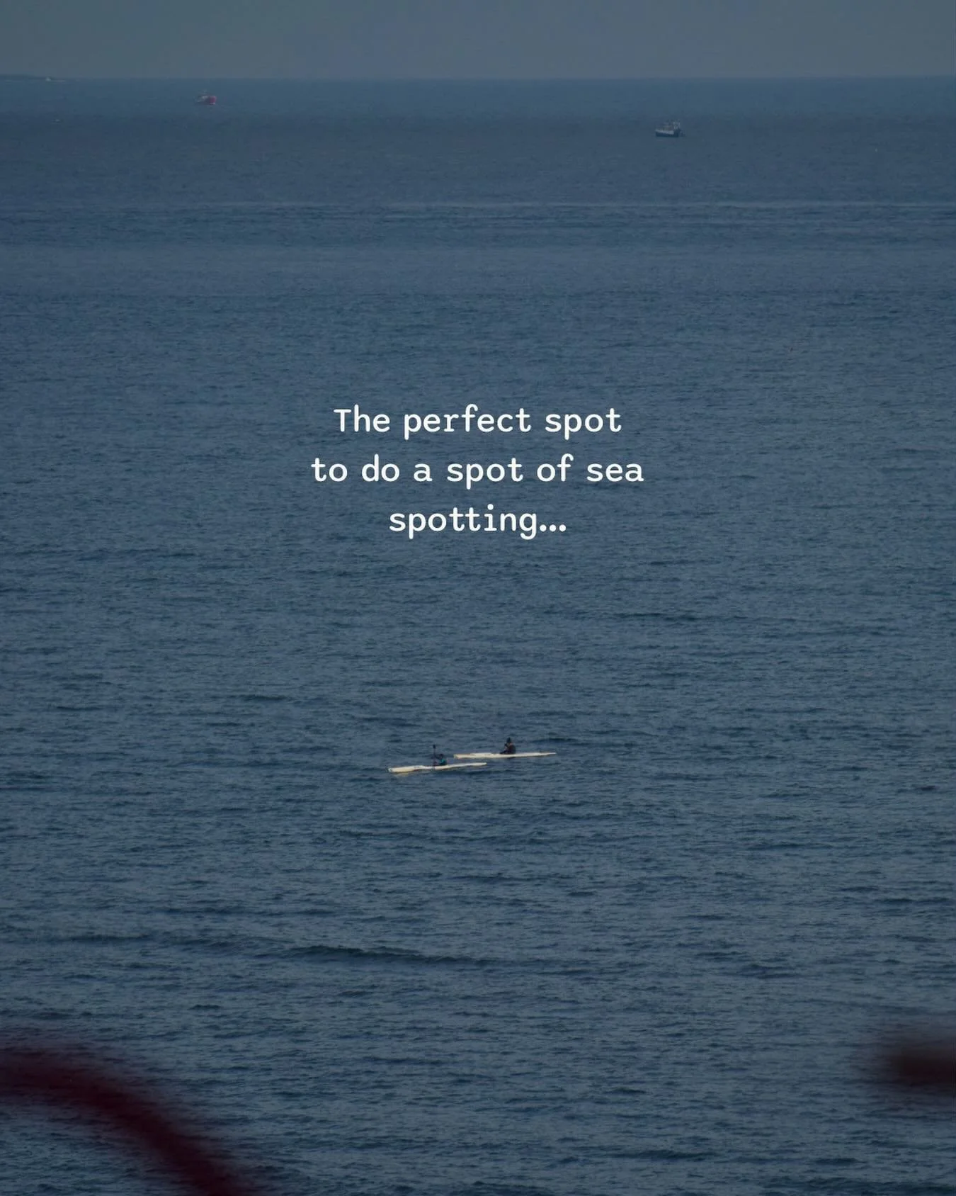 Sea spotting from every seat 👀🌊

Birds soaring, kayakers gliding by, and endless views across the Firth of Forth towards the Bass Rock.

Sit back, relax, and take it all in while you enjoy something delicious.