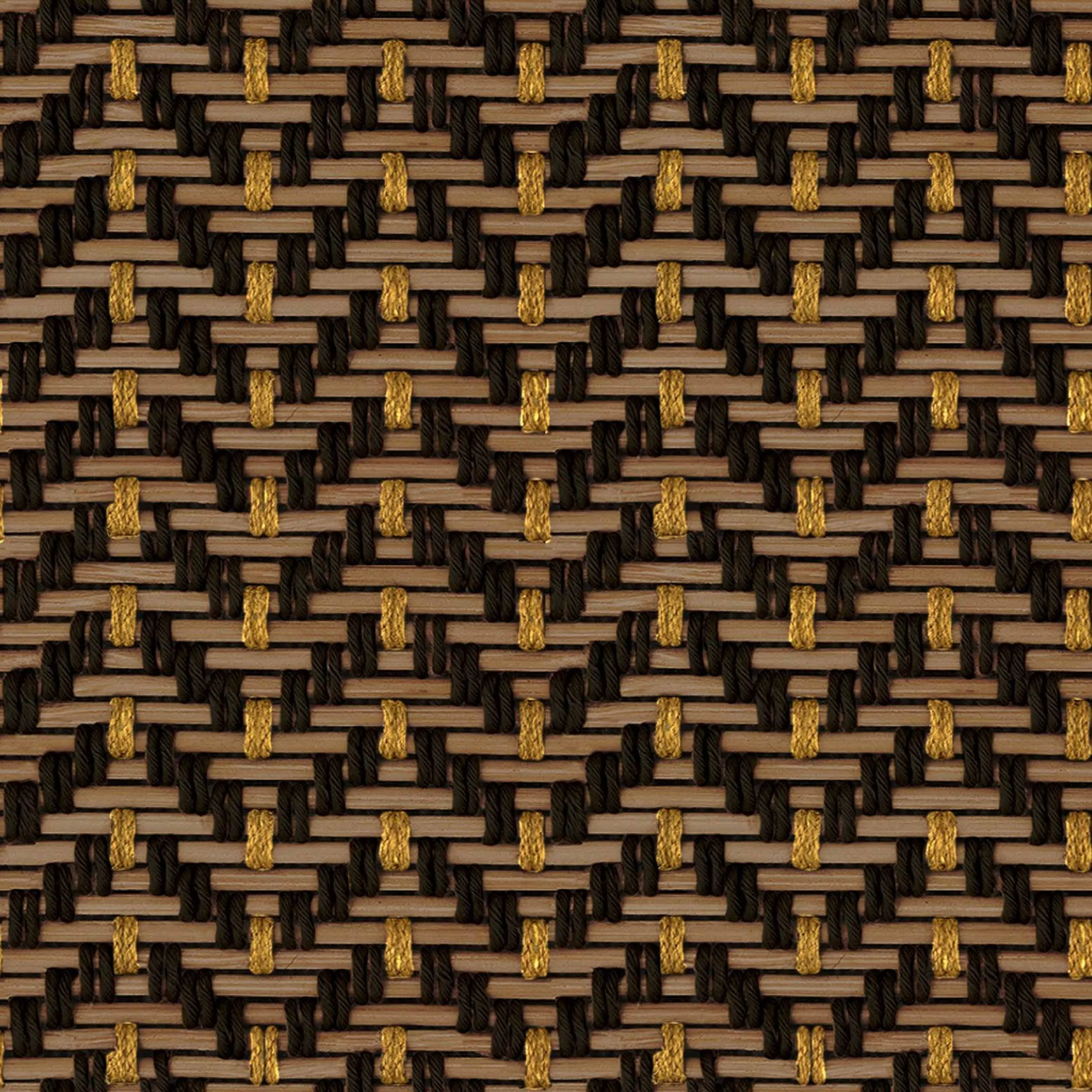 C00019_01.jpg