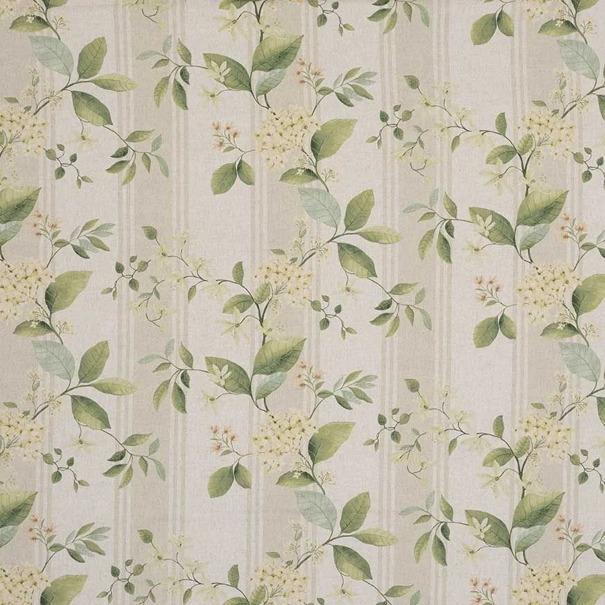 hydrangea_leaf_1.jpg