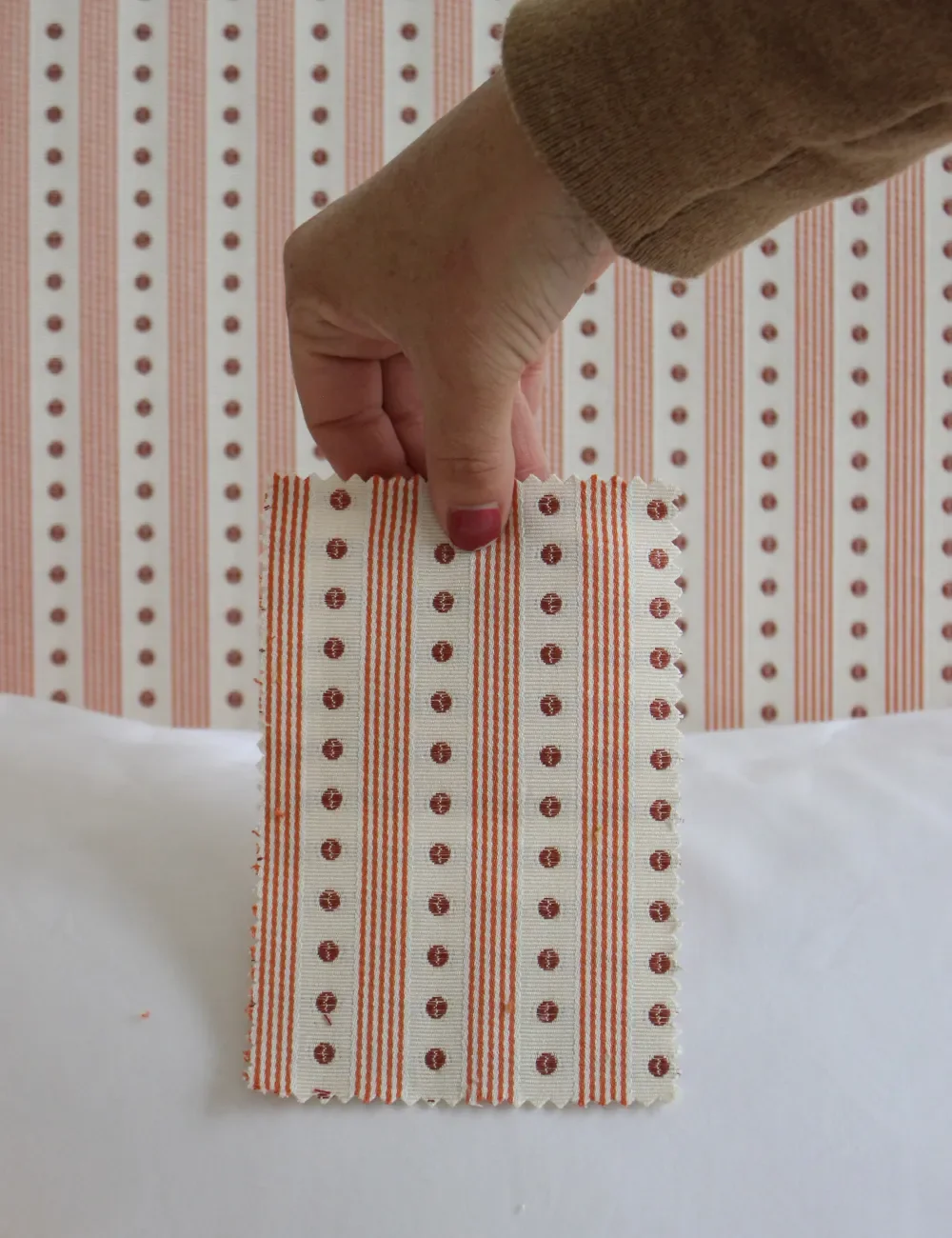 manuel_canovas_CORAIL.webp