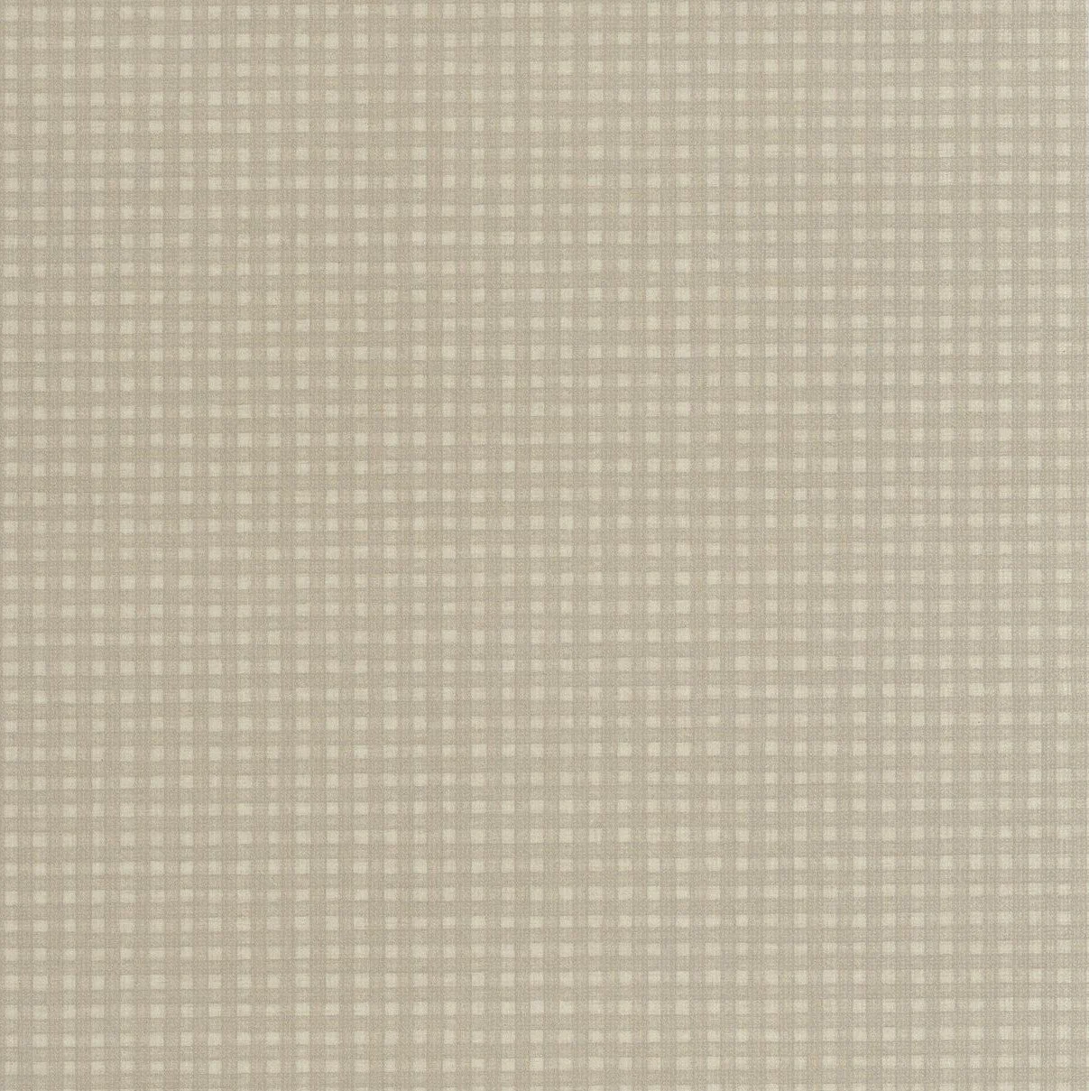 LAW LINO_200557197-1.jpg