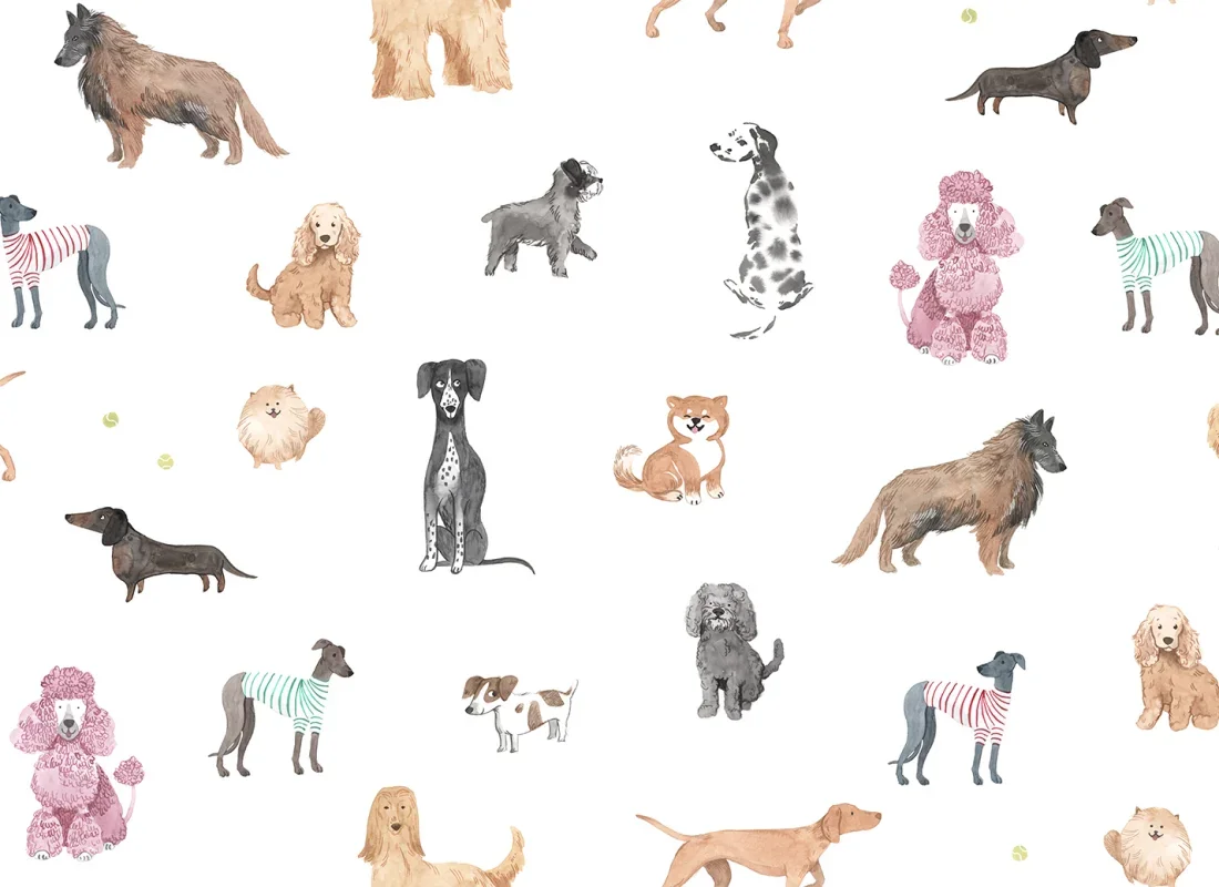 S10704_product.webp