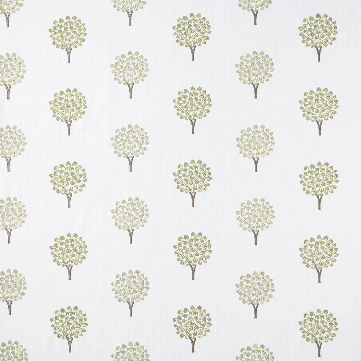 briarwood_fern_2.webp