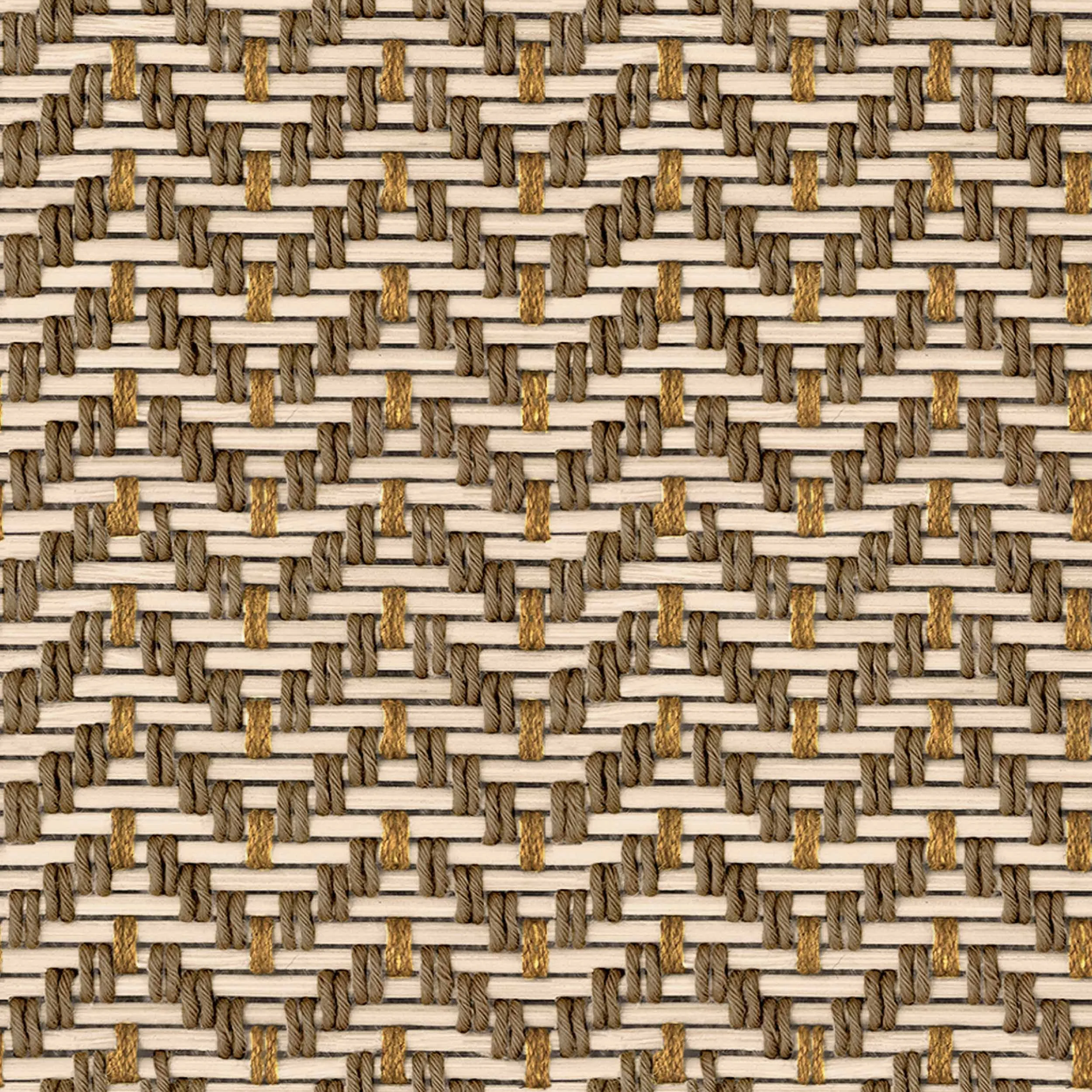 C00020_01.jpg