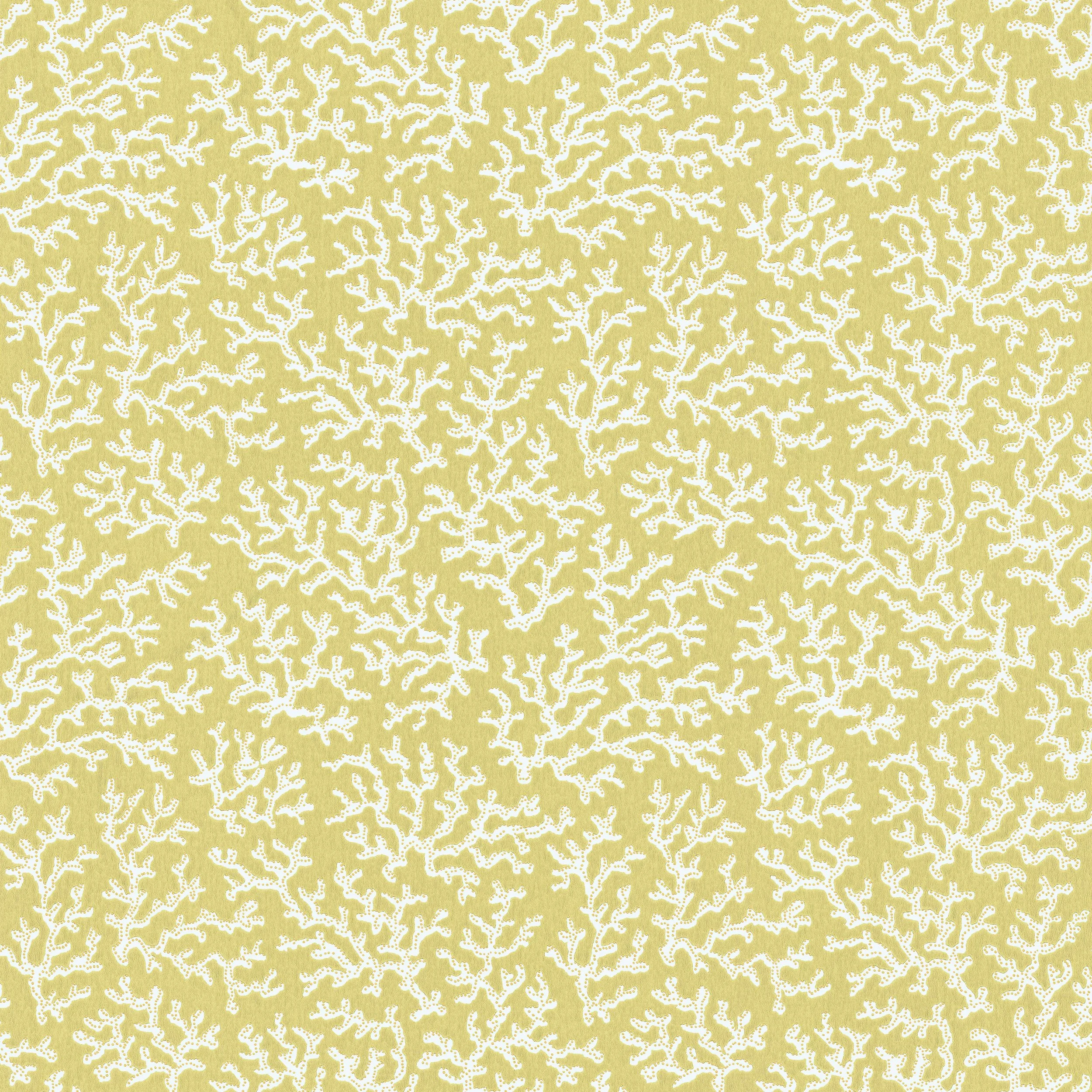 Coral_DuskyLemon.jpg