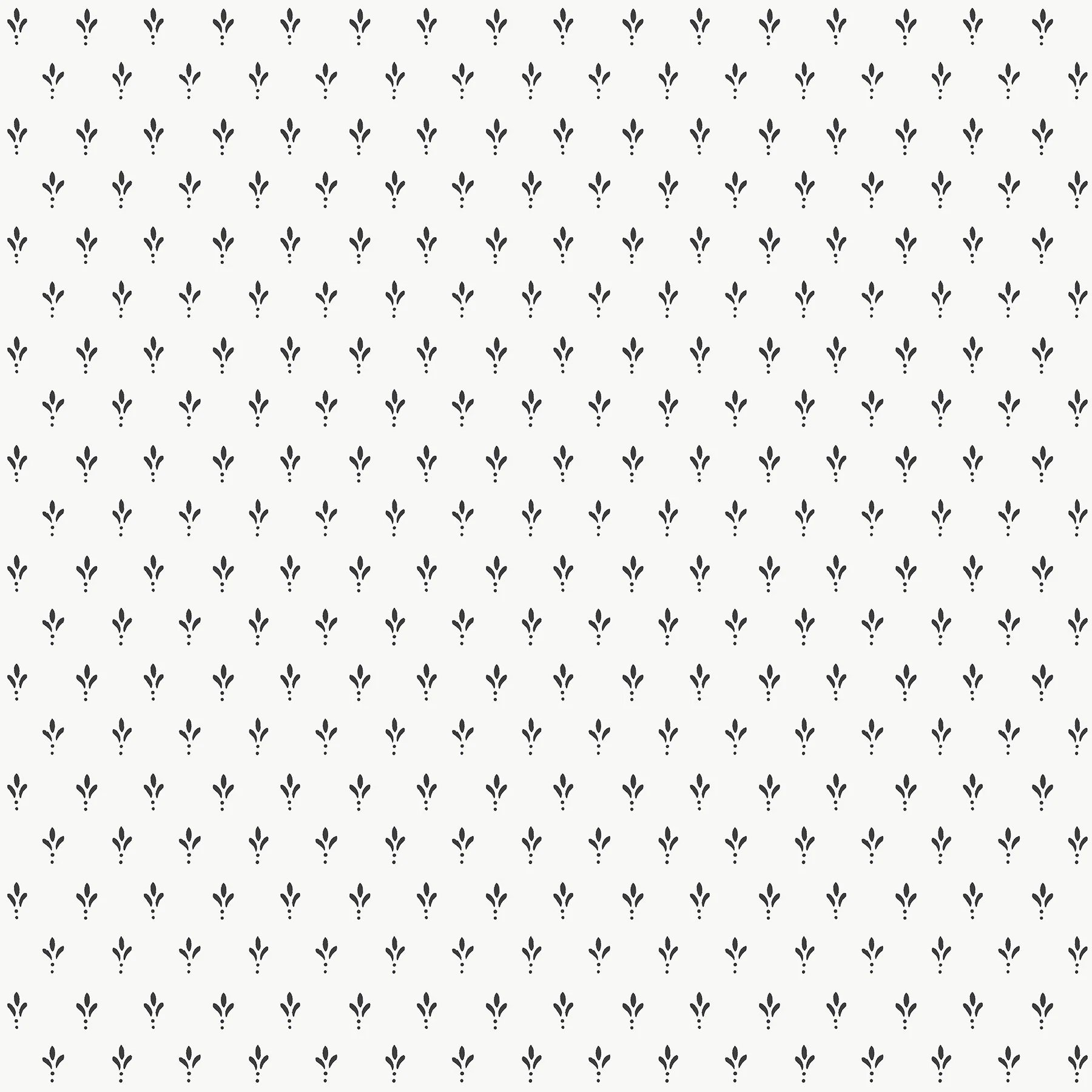 PAPEL PINTADO LIZ PENNY BLANCO Y NEGRO