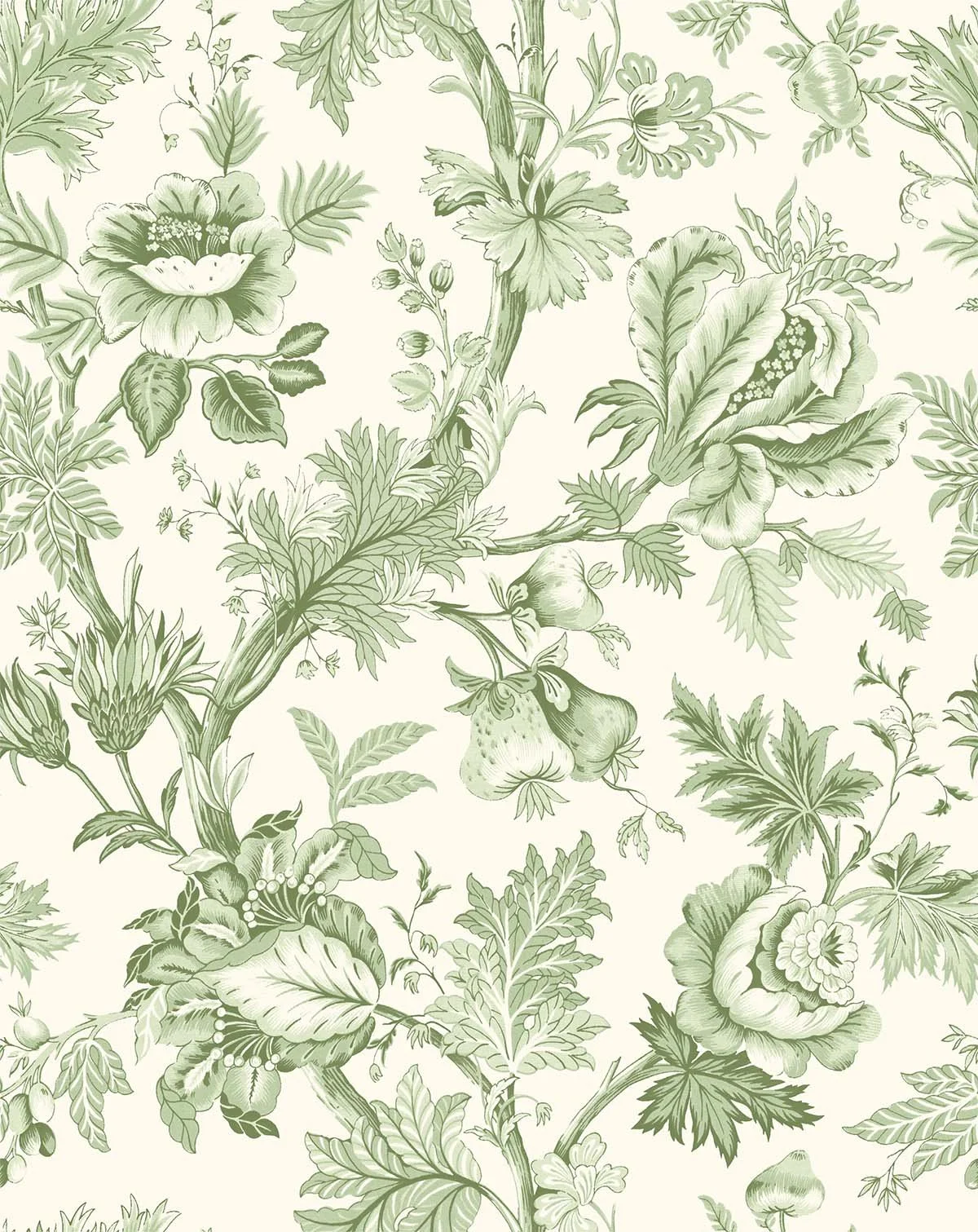 0095131_cabris-spring-fern.jpeg