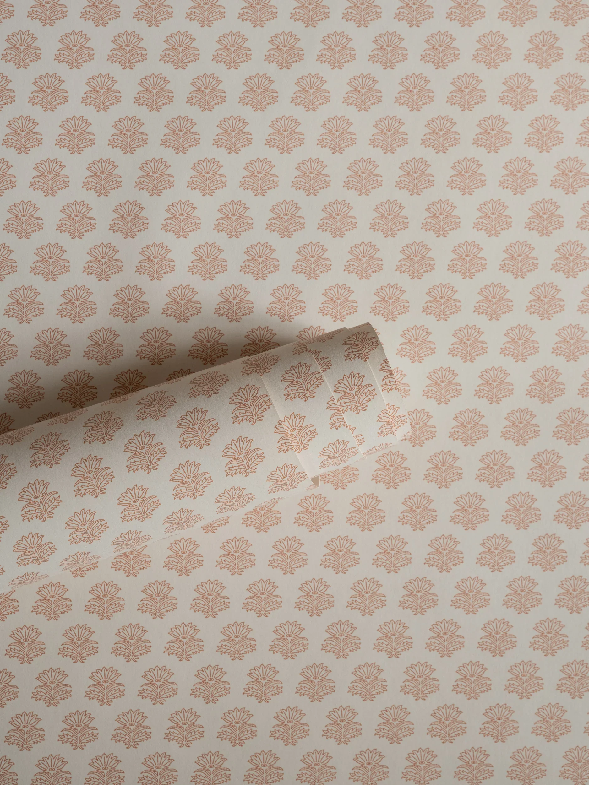 DSC_9501.webp