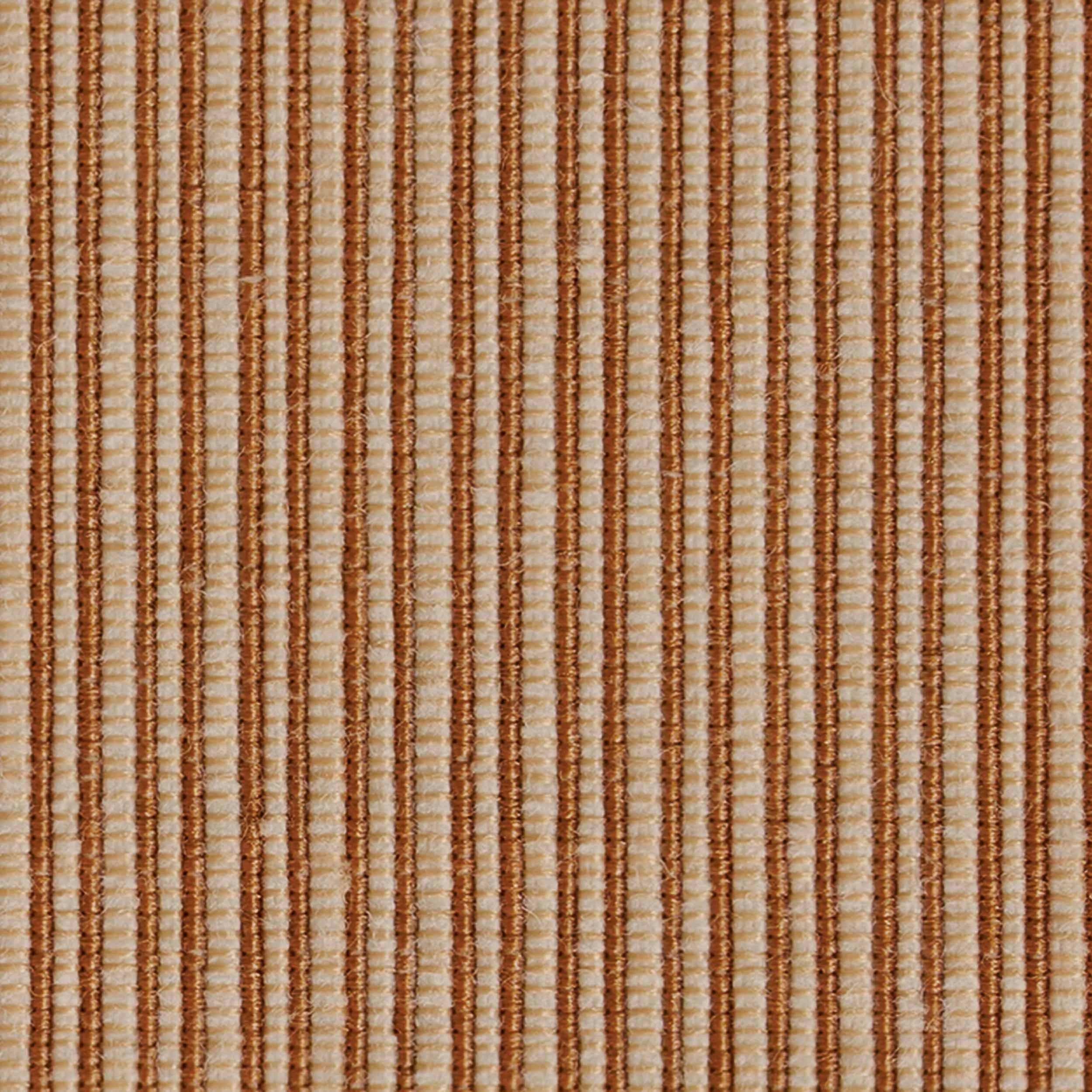 C00031_01.jpg