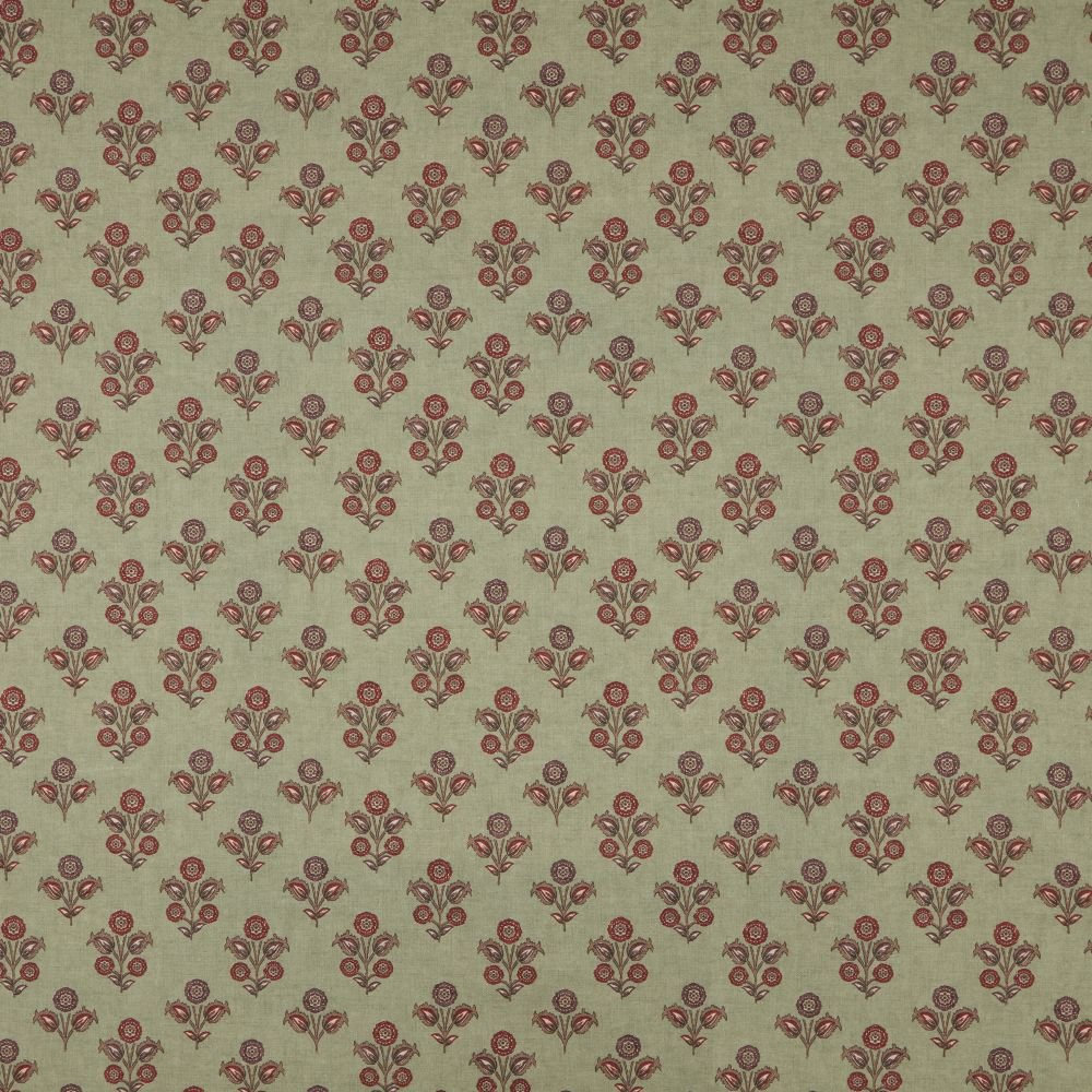 kochi_thyme_flat.jpg