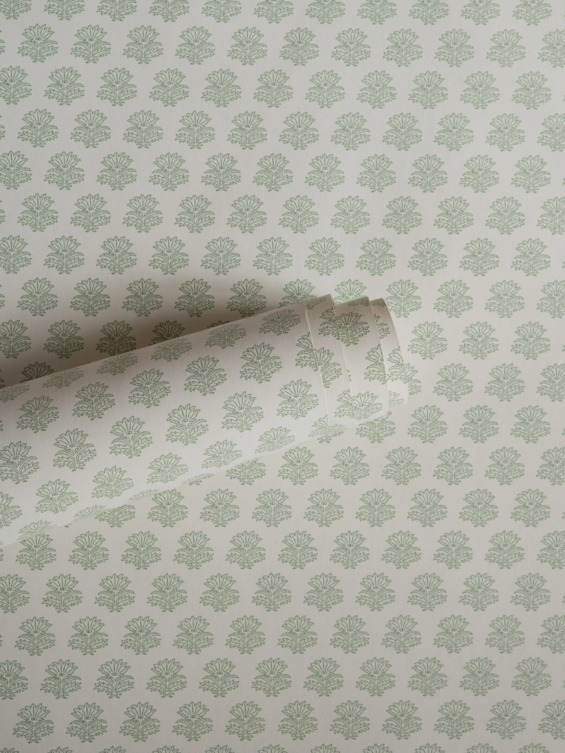 DSC_9502.webp