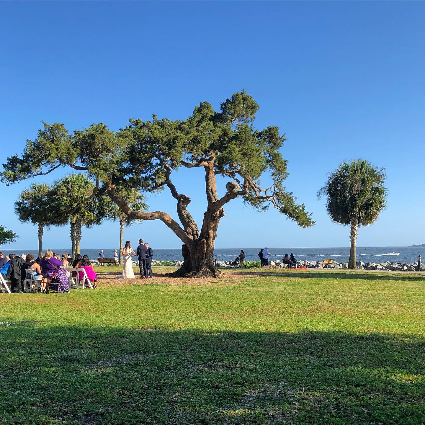 Congrats Sarah &amp; Chris! 🍾🥂

#stollenhearts #stsimonsisland #wedding