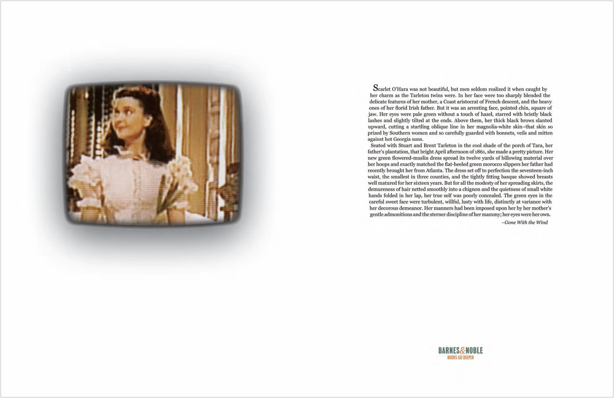 barnesnoble_gonewiththewind3.jpg