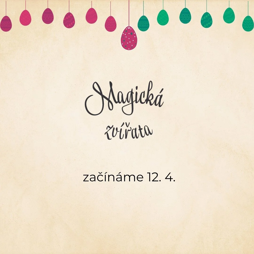 Letos se jim vůbec nechce 🐾.
Není se čemu divit, když je venku stále taková zima 🥶
Chtěli jsme je vypustit na Velikonoce, ale nevypadá to. Bojí se, že nastydnou. Navíc má pršet a to je pro ma