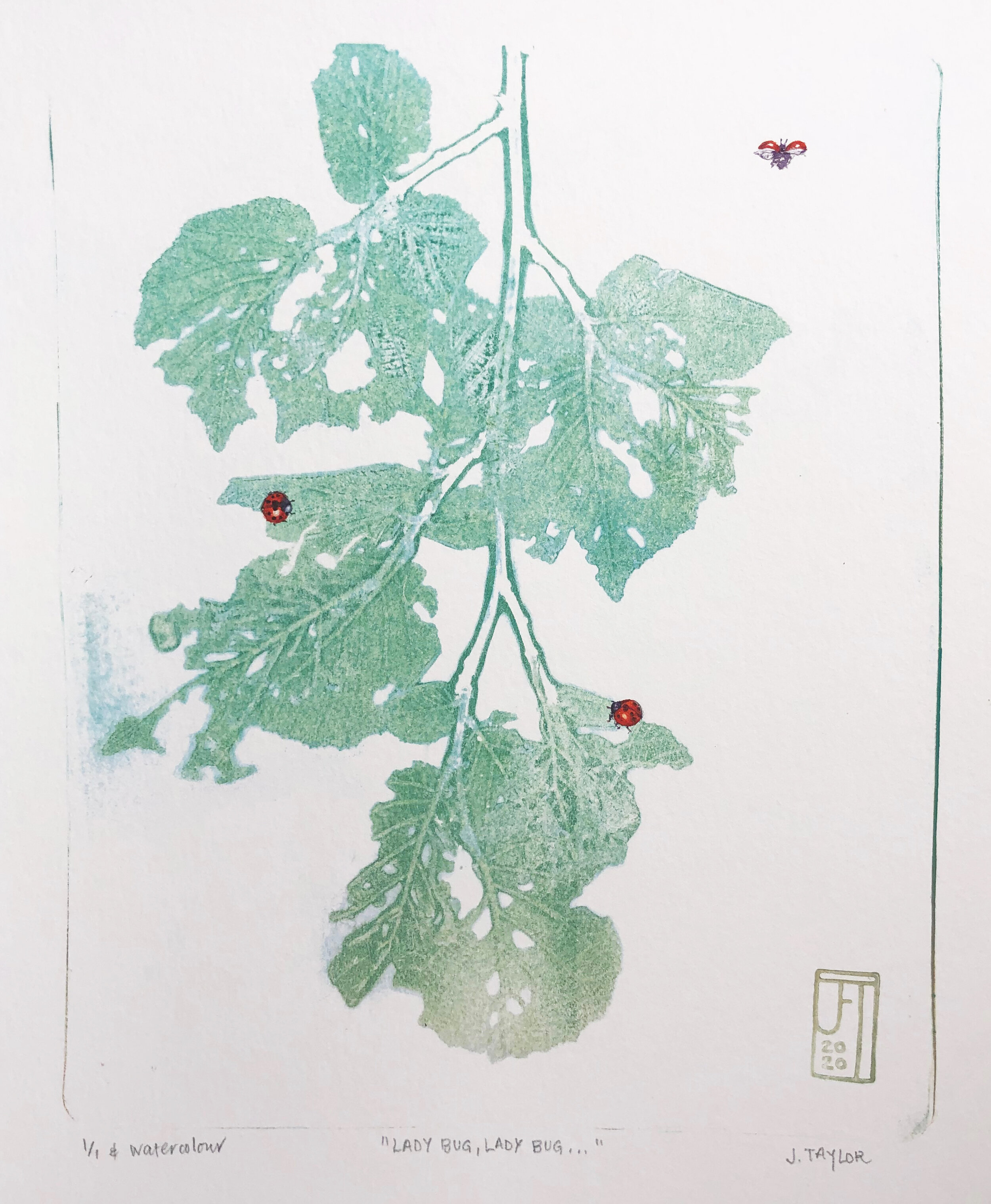 7. Lady Bug, Lady Bugs....jpeg