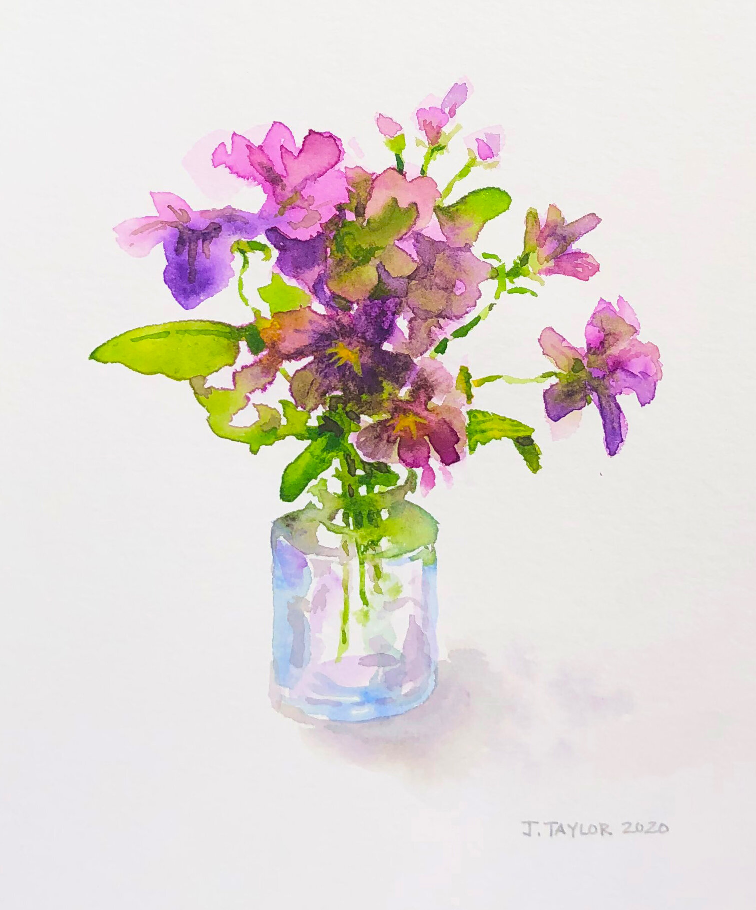 10. Violas.jpeg