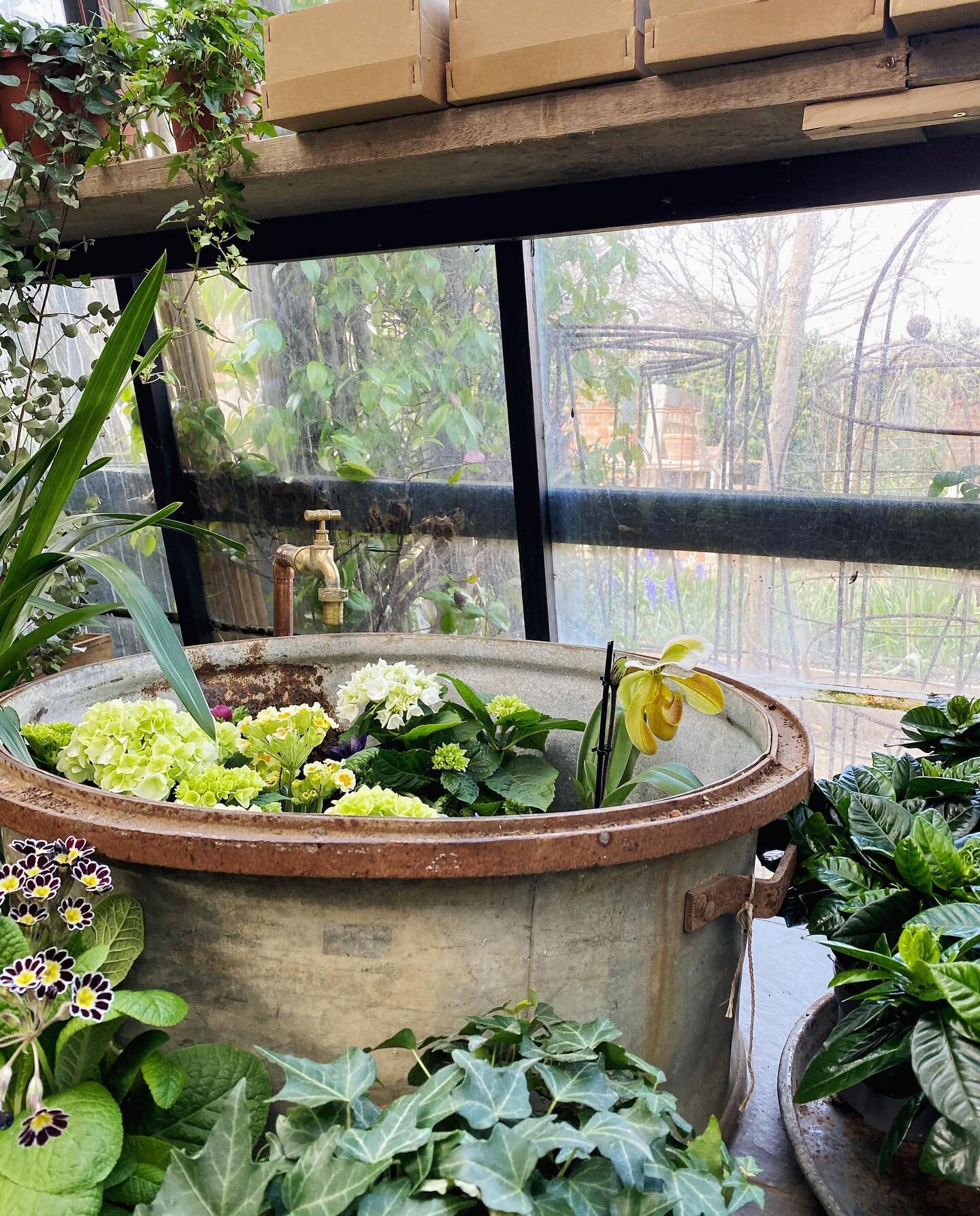 Dzień dobry Poniedziałku. Już jakiś czas temu dzieliłem się z wami w stories odwiedzinami pewnego miejsca i postanowiłem dodać na stałe kilka zdjęć. Petersham Nurseries to zjawiskowe miejsce, kt&oacute;re powstało na fundamentach szk&oacute;łki rośli