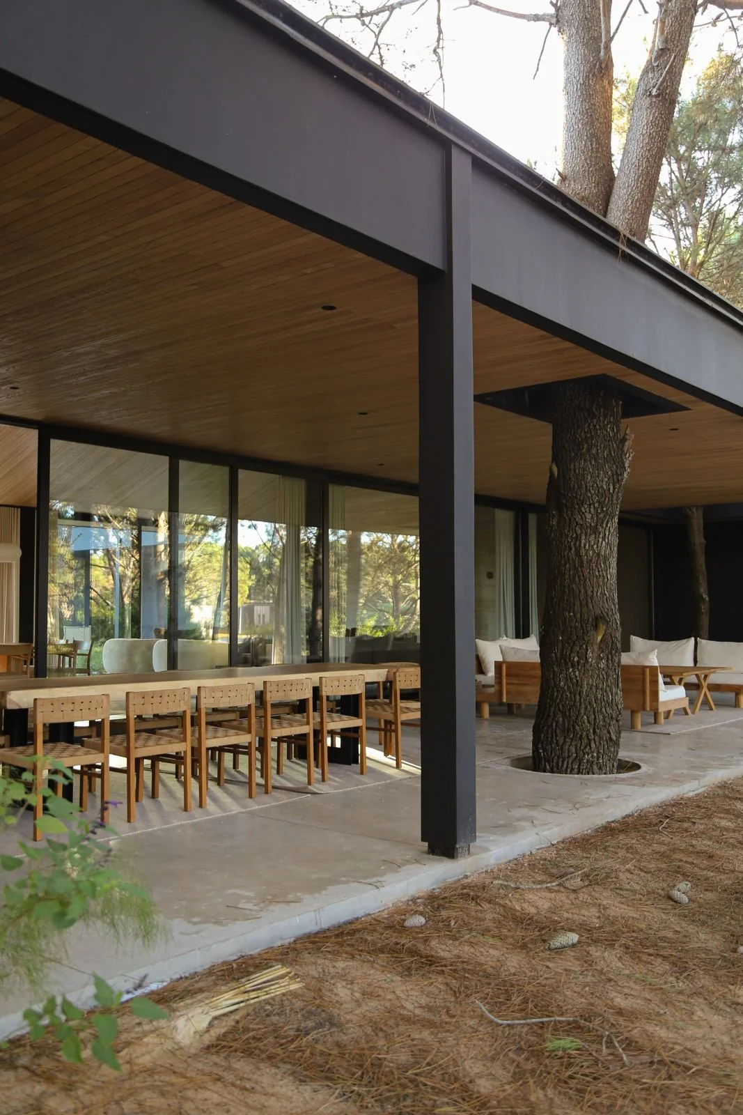 PHOTO-2026-01-27-16-19-39 3.jpg