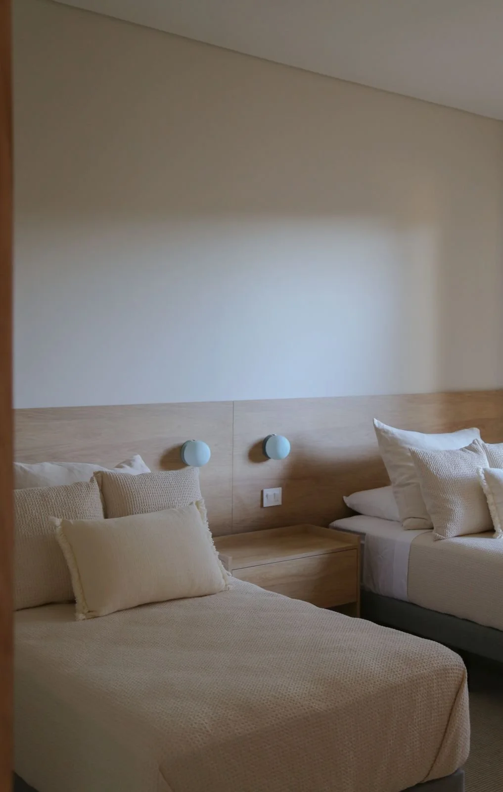 PHOTO-2026-01-27-16-19-38 2.jpg