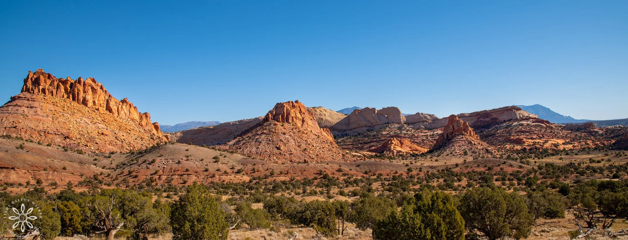 Grand Staircase, Grand View, Linda Dalton Walker.jpg