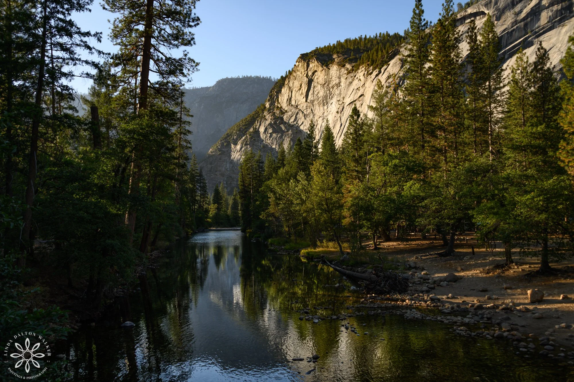 Tranquil morning reflection of Royal Arches and pine trees in the calm river water near Upper Pines Campground in Yosemite.