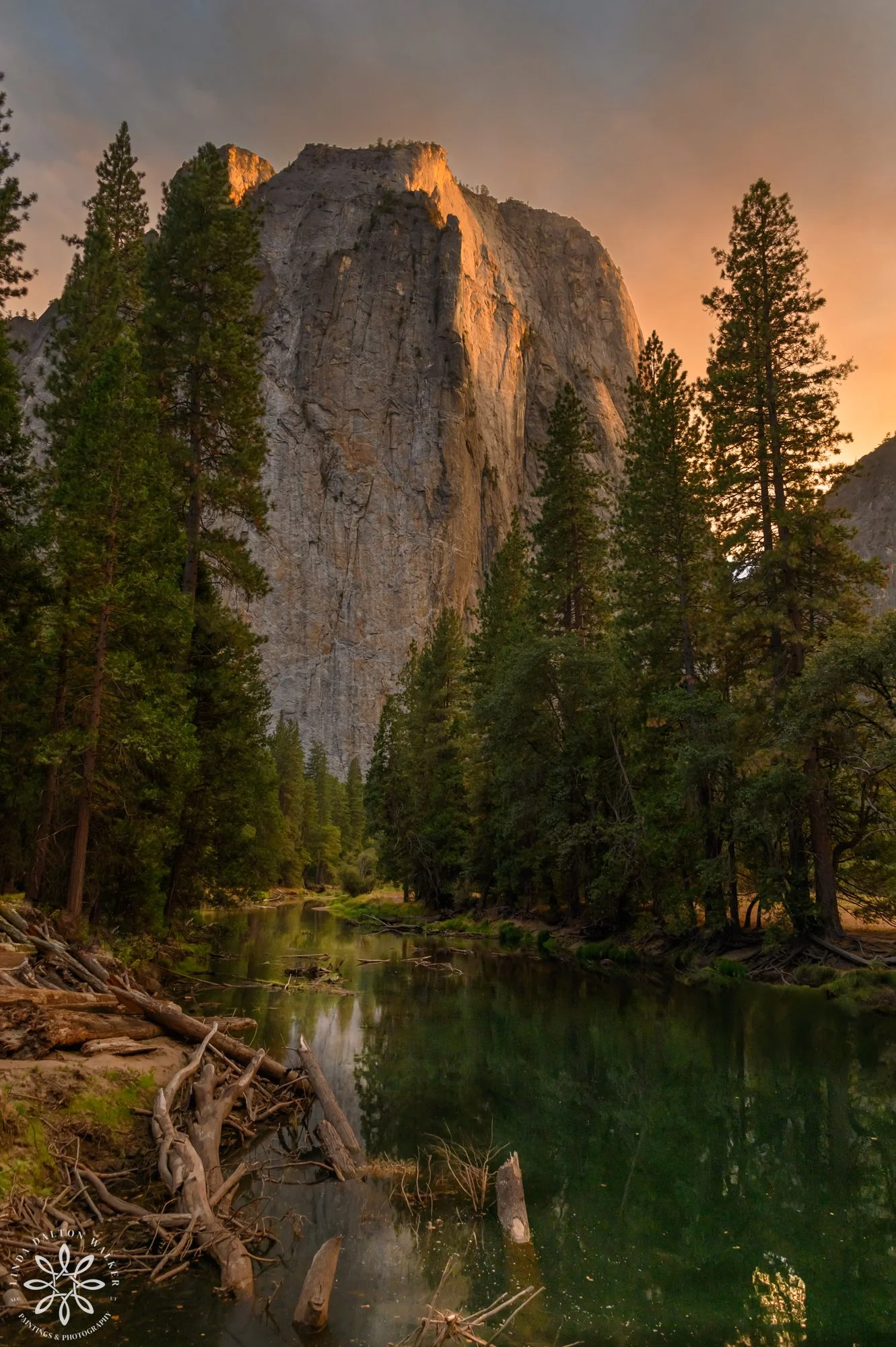 Cathedral Peak framed by riverbank trees with a golden reflection in the water under a warm smoke-filled sky in Yosemite.