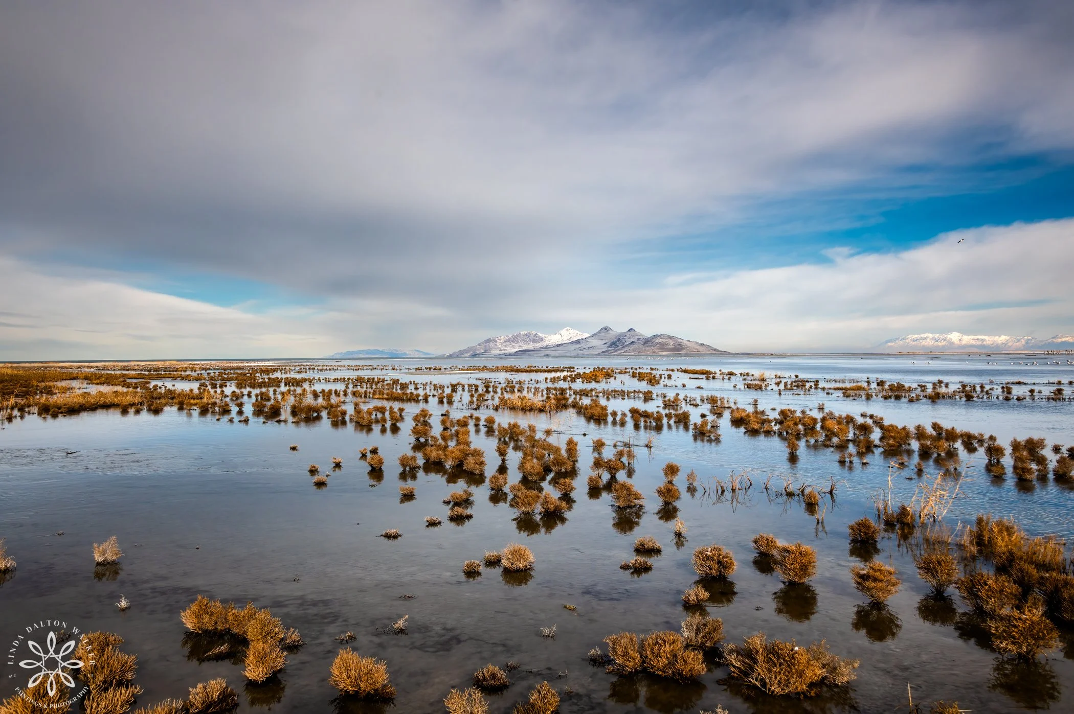 Antelope Island, Great Salt Lake (Copy)