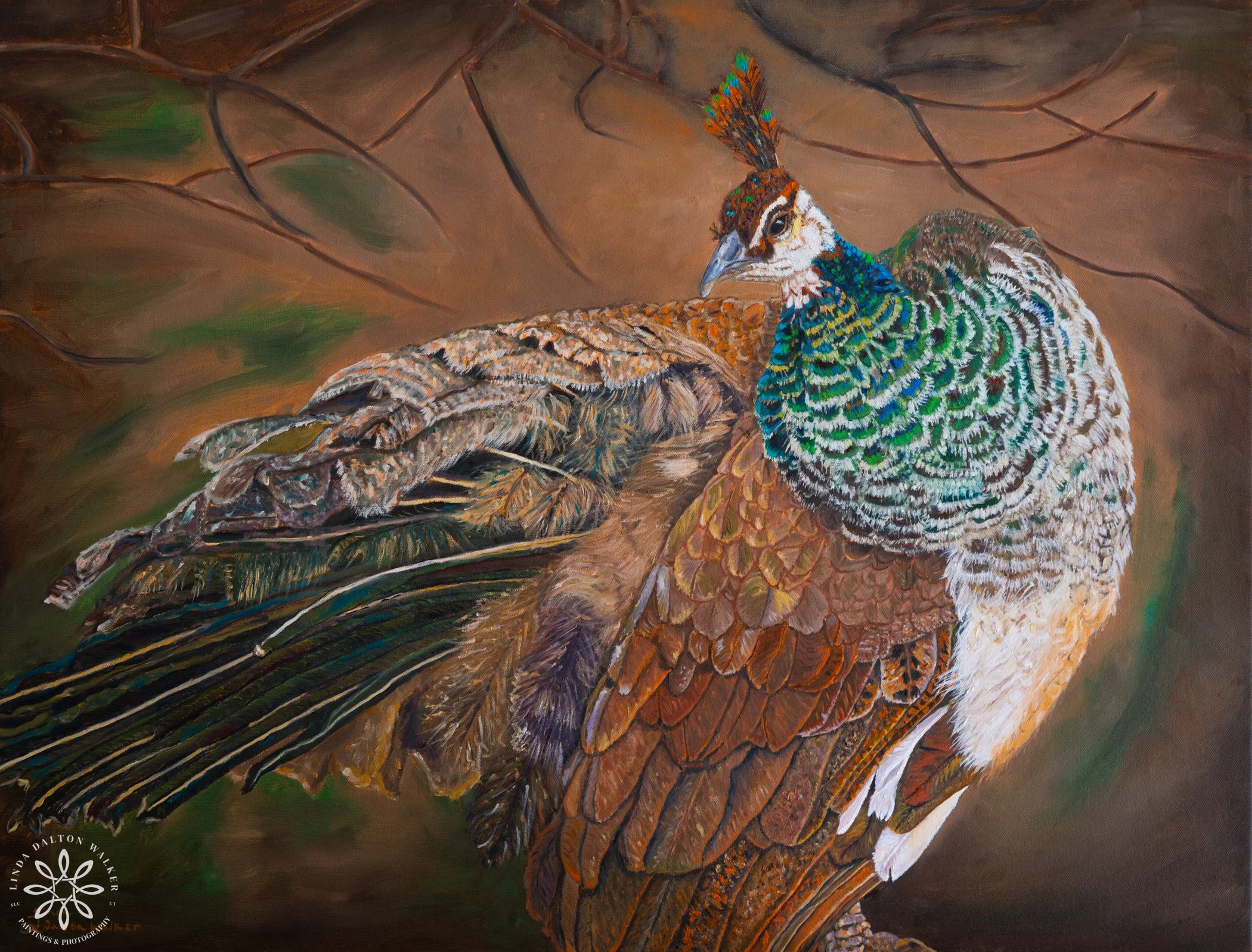 Spreading her Wings (Copy)