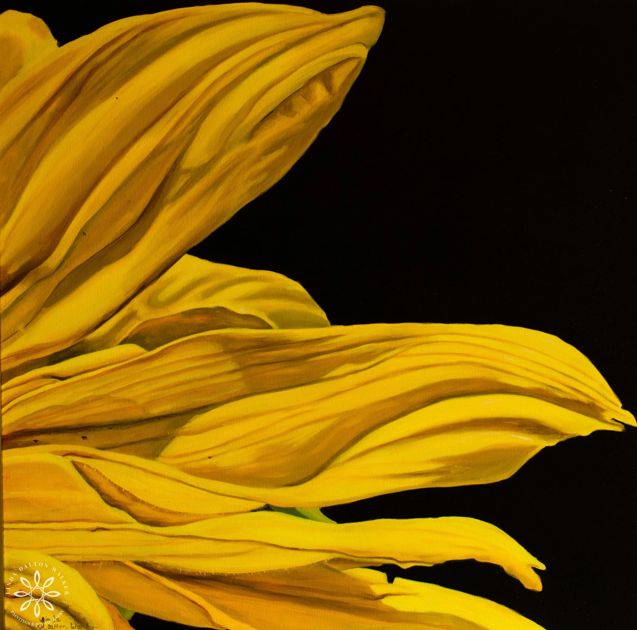 HOW TO TAKE CARE OF YOUR ART