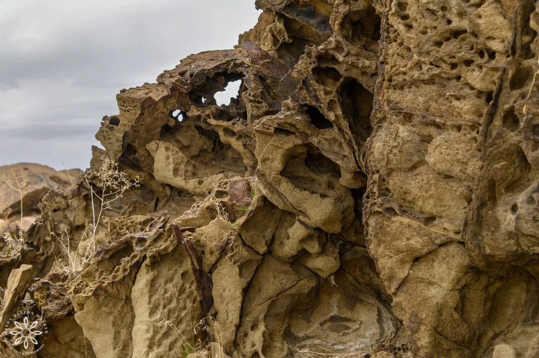 101 Fremont Island, March 14, 2026.jpg