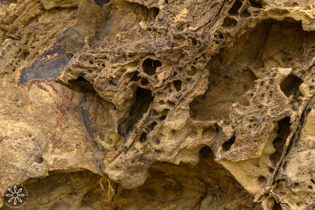 102 Fremont Island, March 14, 2026-Edit.jpg